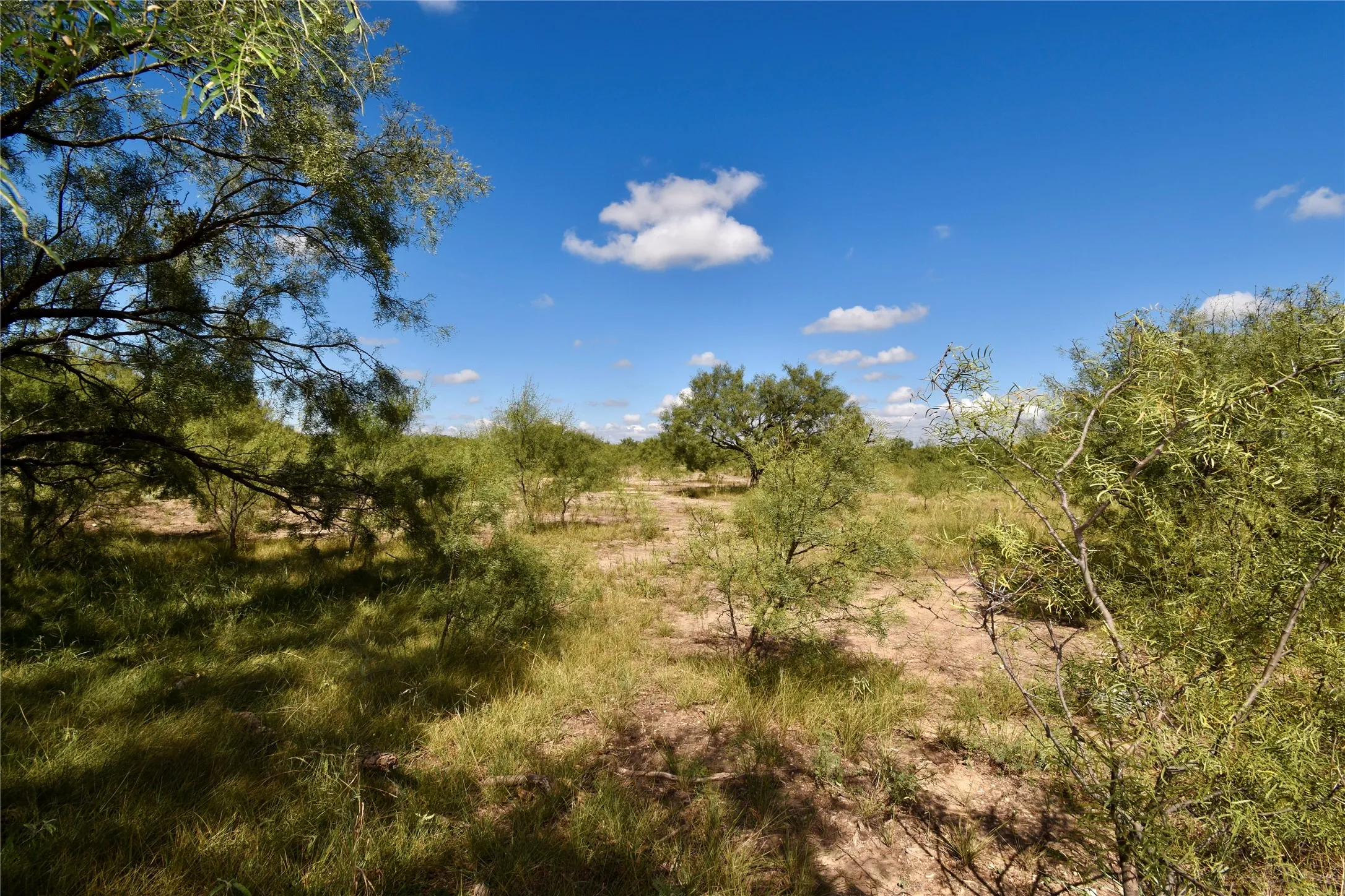 Single Family Residence For Sale in Mc Culloch County , 159 Private Road 939, Brady, Texas 76825, 4 Bedroom, 3 Bathroom, 2 Garage spaces, 2,300 Sqft, built in 2006, mls#21295694, Real Estate Agent in Brady, Homes For Sale in Mc Culloch county, Homes For Sale in Brady, Realtor in Brady Texas, Real Estate Brokerage Independent Realty Texas, Luminita Cordes Realtor