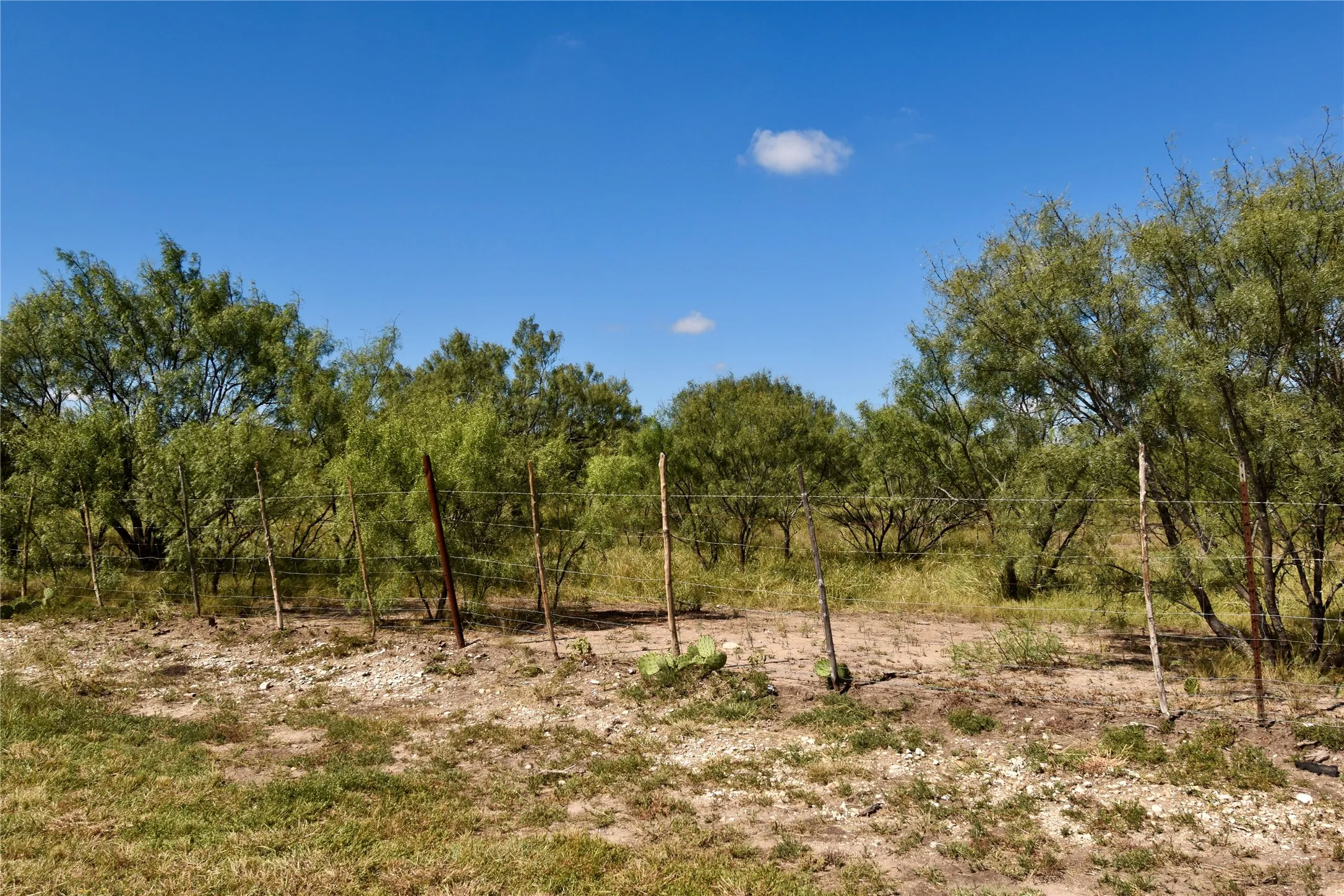 Single Family Residence For Sale in Mc Culloch County , 159 Private Road 939, Brady, Texas 76825, 4 Bedroom, 3 Bathroom, 2 Garage spaces, 2,300 Sqft, built in 2006, mls#21295694, Real Estate Agent in Brady, Homes For Sale in Mc Culloch county, Homes For Sale in Brady, Realtor in Brady Texas, Real Estate Brokerage Independent Realty Texas, Luminita Cordes Realtor