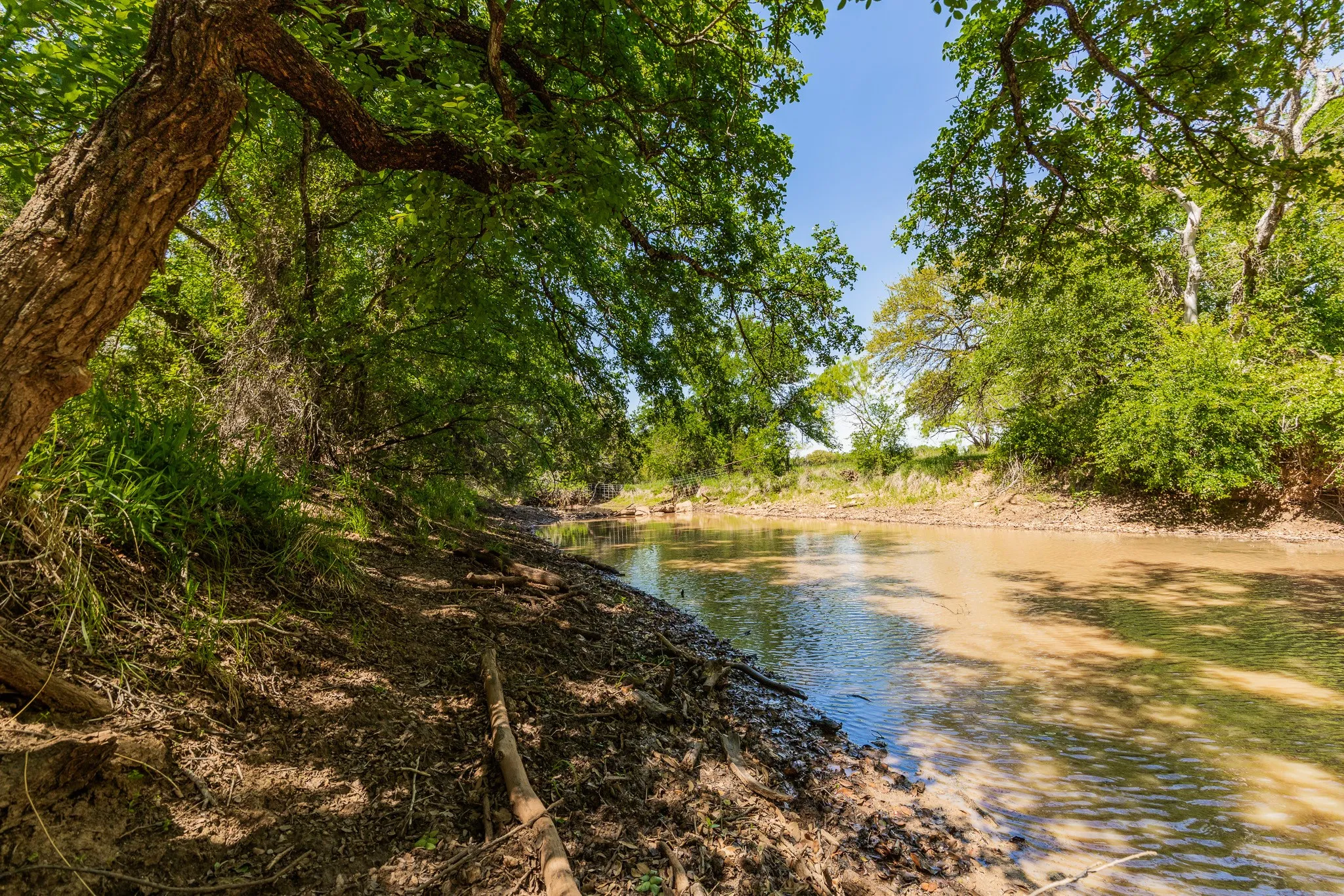 Ranch For Sale in Coleman County , TBD County Road 120, Coleman, Texas 76834, 0, 0, Garage spaces, 0 Sqft, built in 0, mls#21296392, Real Estate Agent in Coleman, Homes For Sale in Coleman county, Homes For Sale in Coleman, Realtor in Coleman Texas, Real Estate Brokerage Independent Realty Texas, Luminita Cordes Realtor