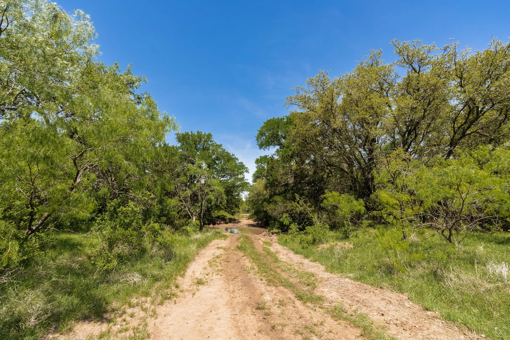 Ranch For Sale in Coleman County , TBD County Road 120, Coleman, Texas 76834, 0, 0, Garage spaces, 0 Sqft, built in 0, mls#21296392, Real Estate Agent in Coleman, Homes For Sale in Coleman county, Homes For Sale in Coleman, Realtor in Coleman Texas, Real Estate Brokerage Independent Realty Texas, Luminita Cordes Realtor