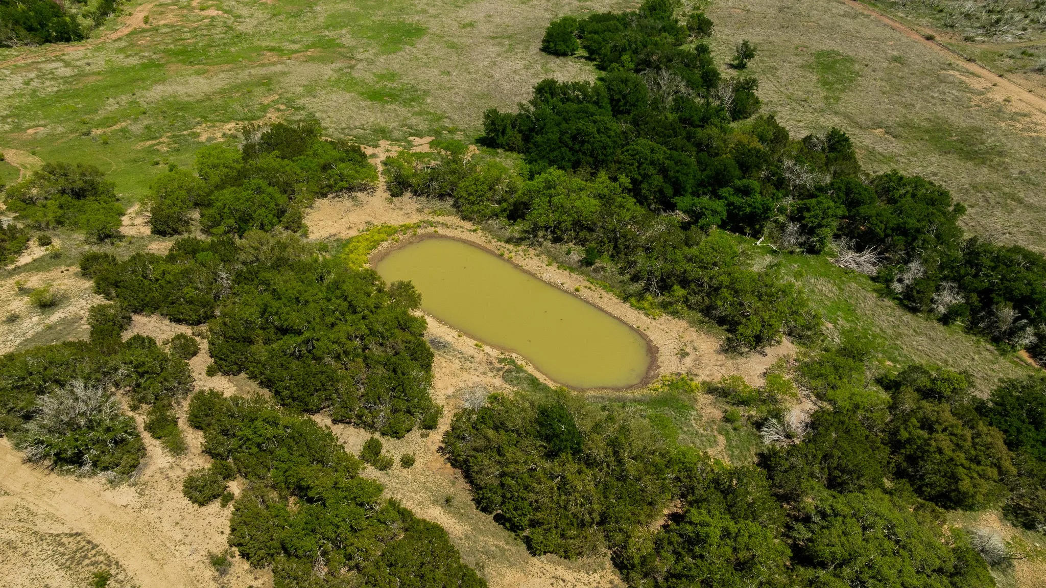 Ranch For Sale in Coleman County , TBD County Road 120, Coleman, Texas 76834, 0, 0, Garage spaces, 0 Sqft, built in 0, mls#21296392, Real Estate Agent in Coleman, Homes For Sale in Coleman county, Homes For Sale in Coleman, Realtor in Coleman Texas, Real Estate Brokerage Independent Realty Texas, Luminita Cordes Realtor