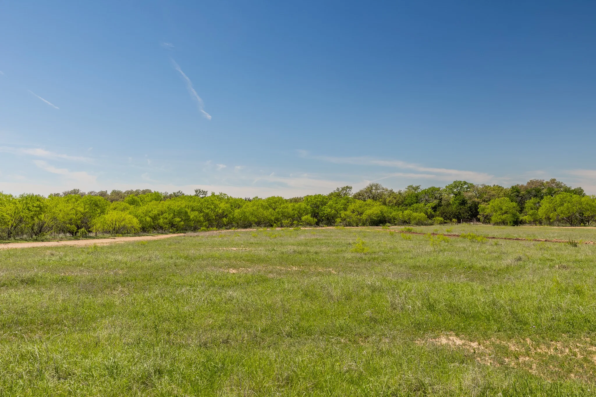 Ranch For Sale in Coleman County , TBD County Road 120, Coleman, Texas 76834, 0, 0, Garage spaces, 0 Sqft, built in 0, mls#21296392, Real Estate Agent in Coleman, Homes For Sale in Coleman county, Homes For Sale in Coleman, Realtor in Coleman Texas, Real Estate Brokerage Independent Realty Texas, Luminita Cordes Realtor