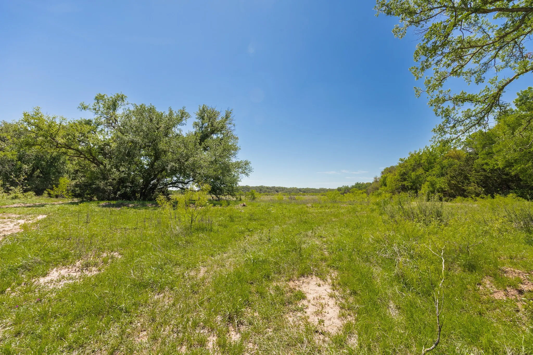 Ranch For Sale in Coleman County , TBD County Road 120, Coleman, Texas 76834, 0, 0, Garage spaces, 0 Sqft, built in 0, mls#21296392, Real Estate Agent in Coleman, Homes For Sale in Coleman county, Homes For Sale in Coleman, Realtor in Coleman Texas, Real Estate Brokerage Independent Realty Texas, Luminita Cordes Realtor