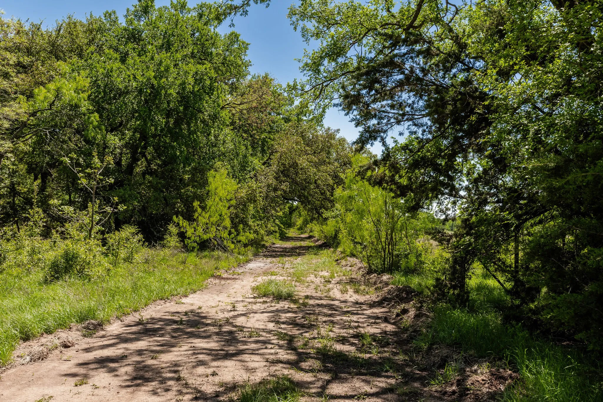 Ranch For Sale in Coleman County , TBD County Road 120, Coleman, Texas 76834, 0, 0, Garage spaces, 0 Sqft, built in 0, mls#21296392, Real Estate Agent in Coleman, Homes For Sale in Coleman county, Homes For Sale in Coleman, Realtor in Coleman Texas, Real Estate Brokerage Independent Realty Texas, Luminita Cordes Realtor