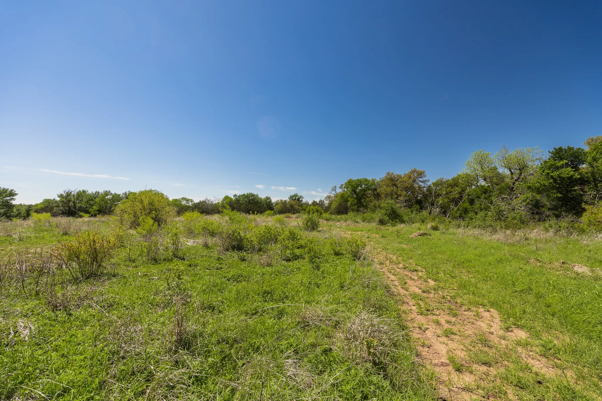 Ranch For Sale in Coleman County , TBD County Road 120, Coleman, Texas 76834, 0, 0, Garage spaces, 0 Sqft, built in 0, mls#21296392, Real Estate Agent in Coleman, Homes For Sale in Coleman county, Homes For Sale in Coleman, Realtor in Coleman Texas, Real Estate Brokerage Independent Realty Texas, Luminita Cordes Realtor