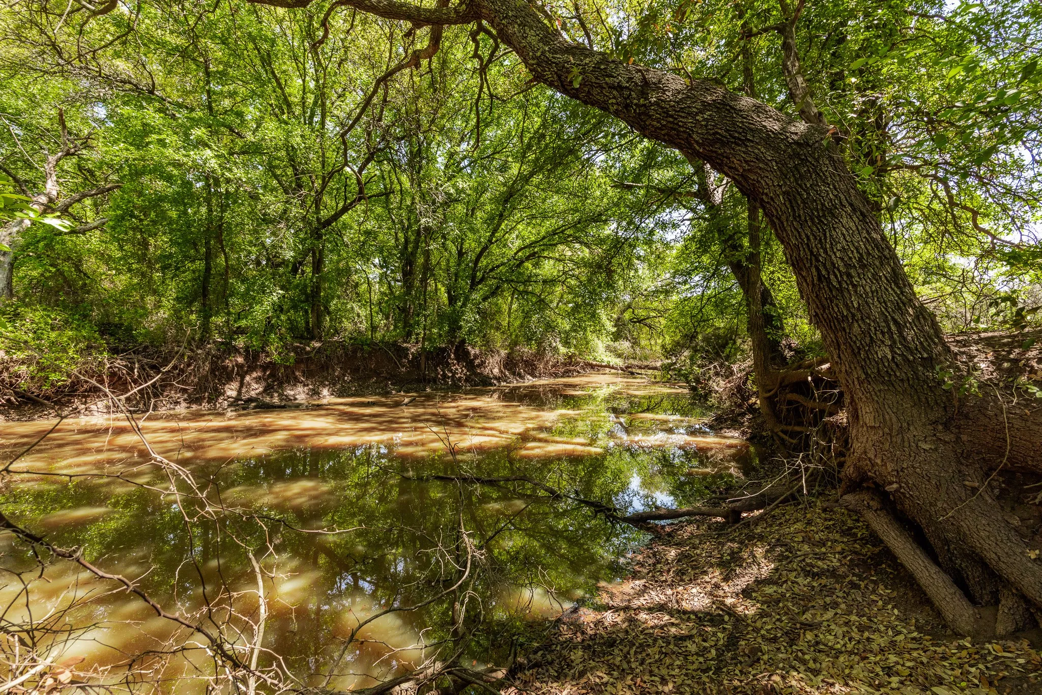 Ranch For Sale in Coleman County , TBD County Road 120, Coleman, Texas 76834, 0, 0, Garage spaces, 0 Sqft, built in 0, mls#21296392, Real Estate Agent in Coleman, Homes For Sale in Coleman county, Homes For Sale in Coleman, Realtor in Coleman Texas, Real Estate Brokerage Independent Realty Texas, Luminita Cordes Realtor