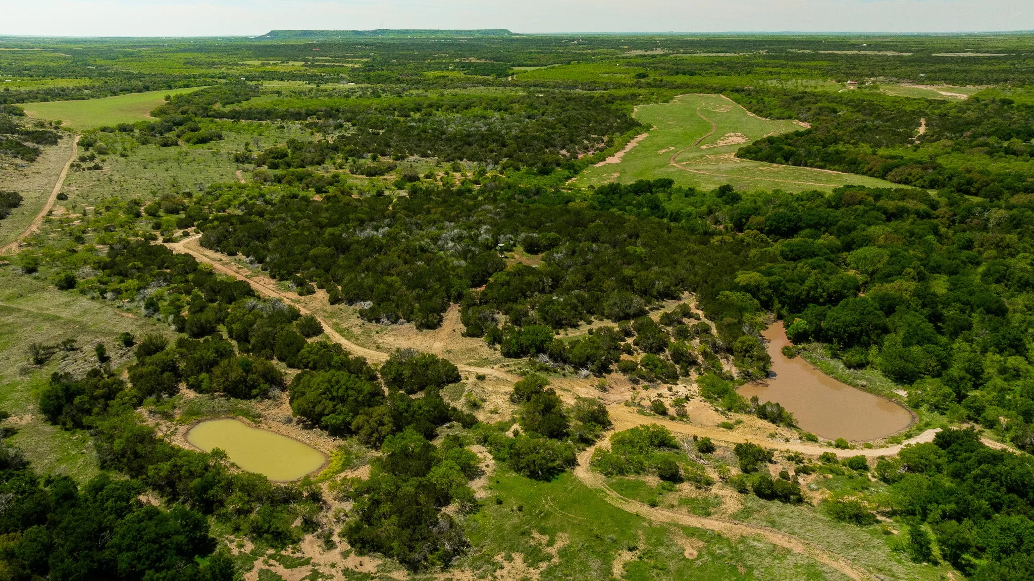 Ranch For Sale in Coleman County , TBD County Road 120, Coleman, Texas 76834, 0, 0, Garage spaces, 0 Sqft, built in 0, mls#21296392, Real Estate Agent in Coleman, Homes For Sale in Coleman county, Homes For Sale in Coleman, Realtor in Coleman Texas, Real Estate Brokerage Independent Realty Texas, Luminita Cordes Realtor