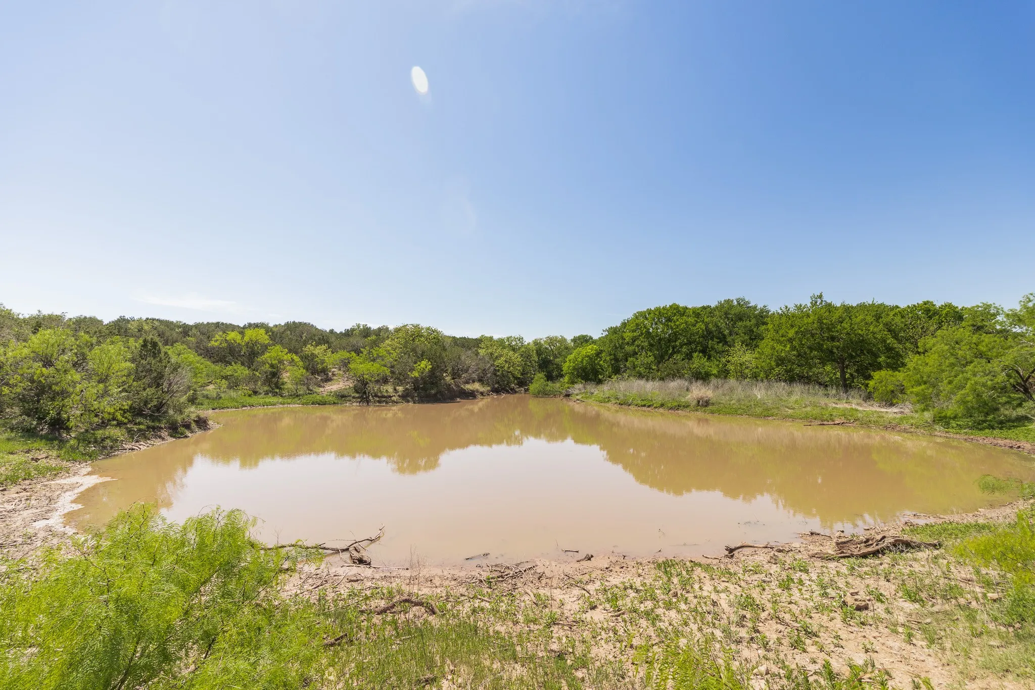 Ranch For Sale in Coleman County , TBD County Road 120, Coleman, Texas 76834, 0, 0, Garage spaces, 0 Sqft, built in 0, mls#21296392, Real Estate Agent in Coleman, Homes For Sale in Coleman county, Homes For Sale in Coleman, Realtor in Coleman Texas, Real Estate Brokerage Independent Realty Texas, Luminita Cordes Realtor