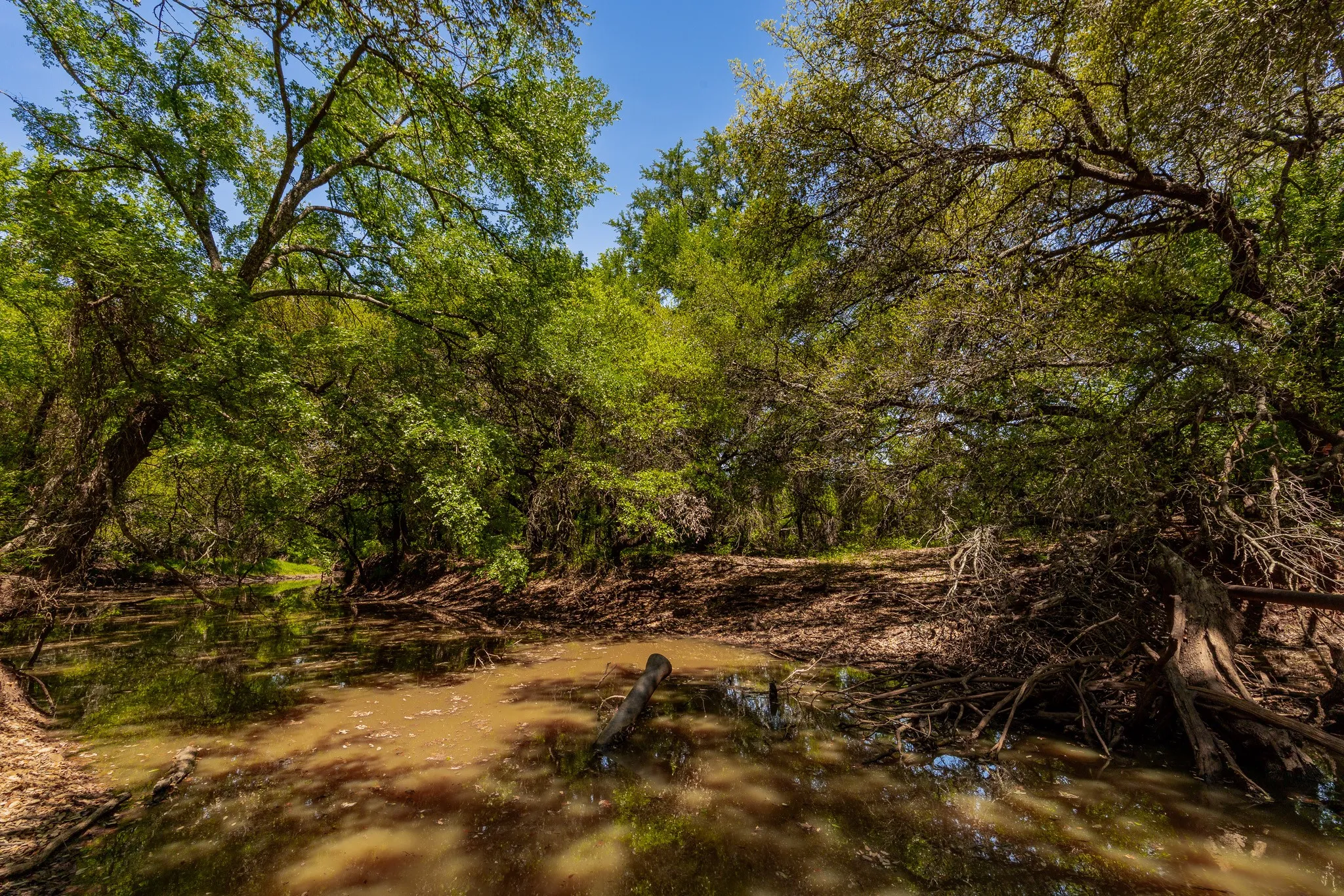 Ranch For Sale in Coleman County , TBD County Road 120, Coleman, Texas 76834, 0, 0, Garage spaces, 0 Sqft, built in 0, mls#21296392, Real Estate Agent in Coleman, Homes For Sale in Coleman county, Homes For Sale in Coleman, Realtor in Coleman Texas, Real Estate Brokerage Independent Realty Texas, Luminita Cordes Realtor