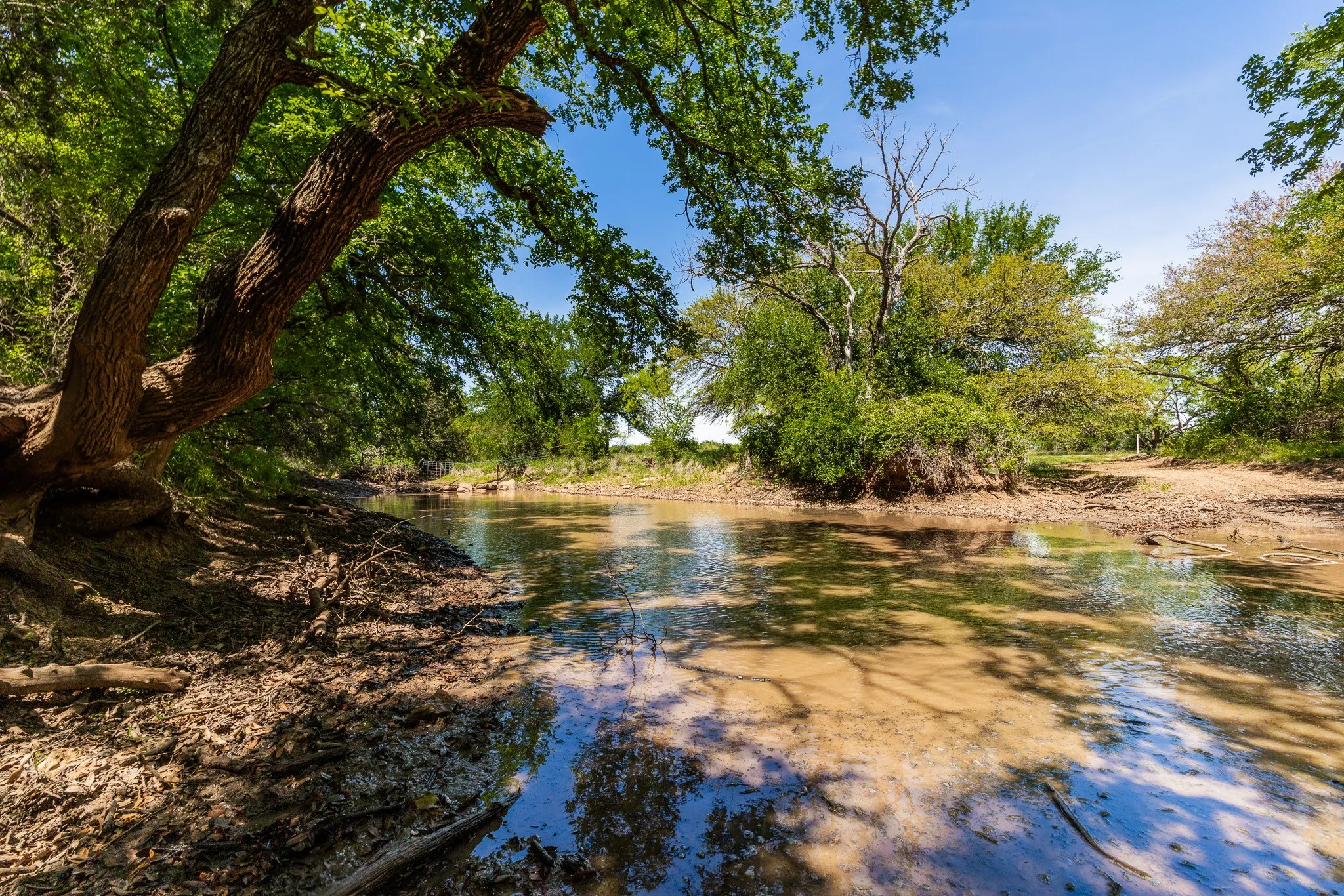 Ranch For Sale in Coleman County , TBD County Road 120, Coleman, Texas 76834, 0, 0, Garage spaces, 0 Sqft, built in 0, mls#21296392, Real Estate Agent in Coleman, Homes For Sale in Coleman county, Homes For Sale in Coleman, Realtor in Coleman Texas, Real Estate Brokerage Independent Realty Texas, Luminita Cordes Realtor