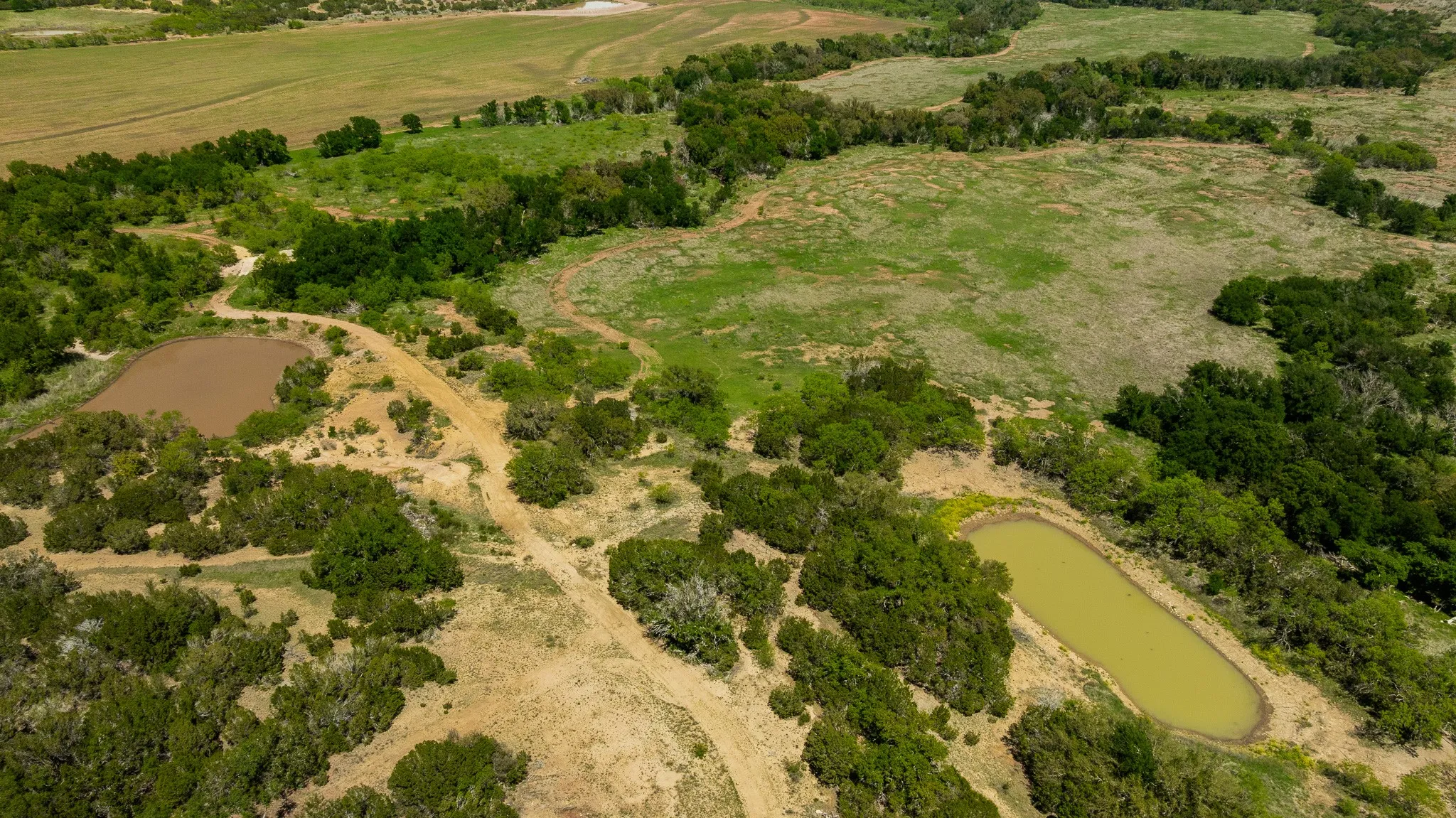 Ranch For Sale in Coleman County , TBD County Road 120, Coleman, Texas 76834, 0, 0, Garage spaces, 0 Sqft, built in 0, mls#21296392, Real Estate Agent in Coleman, Homes For Sale in Coleman county, Homes For Sale in Coleman, Realtor in Coleman Texas, Real Estate Brokerage Independent Realty Texas, Luminita Cordes Realtor