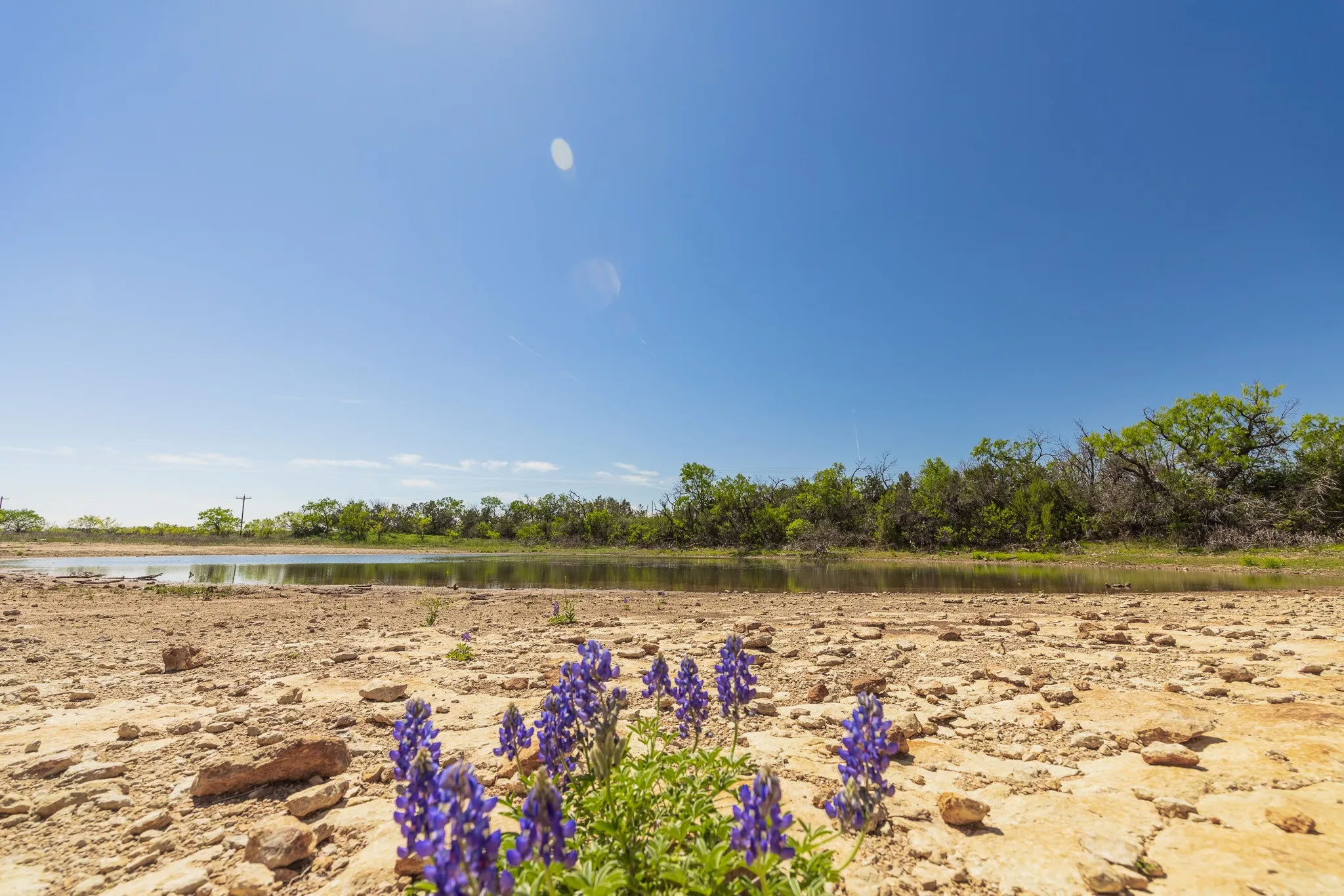 Ranch For Sale in Coleman County , TBD County Road 120, Coleman, Texas 76834, 0, 0, Garage spaces, 0 Sqft, built in 0, mls#21296392, Real Estate Agent in Coleman, Homes For Sale in Coleman county, Homes For Sale in Coleman, Realtor in Coleman Texas, Real Estate Brokerage Independent Realty Texas, Luminita Cordes Realtor