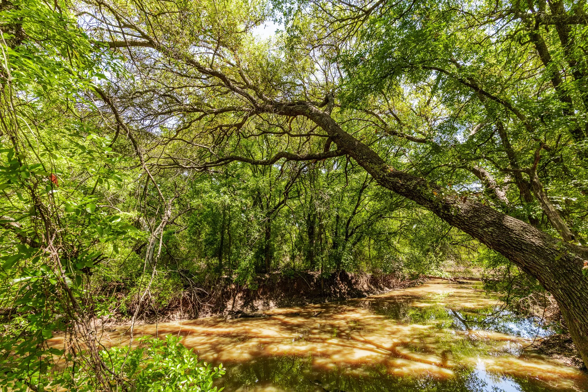 Ranch For Sale in Coleman County , TBD County Road 120, Coleman, Texas 76834, 0, 0, Garage spaces, 0 Sqft, built in 0, mls#21296392, Real Estate Agent in Coleman, Homes For Sale in Coleman county, Homes For Sale in Coleman, Realtor in Coleman Texas, Real Estate Brokerage Independent Realty Texas, Luminita Cordes Realtor