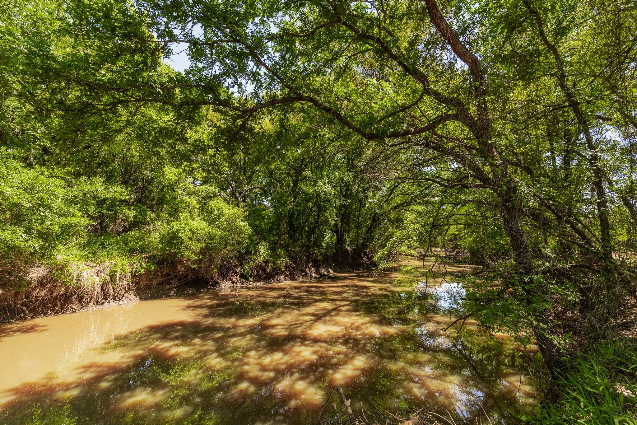Ranch For Sale in Coleman County , TBD County Road 120, Coleman, Texas 76834, 0, 0, Garage spaces, 0 Sqft, built in 0, mls#21296392, Real Estate Agent in Coleman, Homes For Sale in Coleman county, Homes For Sale in Coleman, Realtor in Coleman Texas, Real Estate Brokerage Independent Realty Texas, Luminita Cordes Realtor