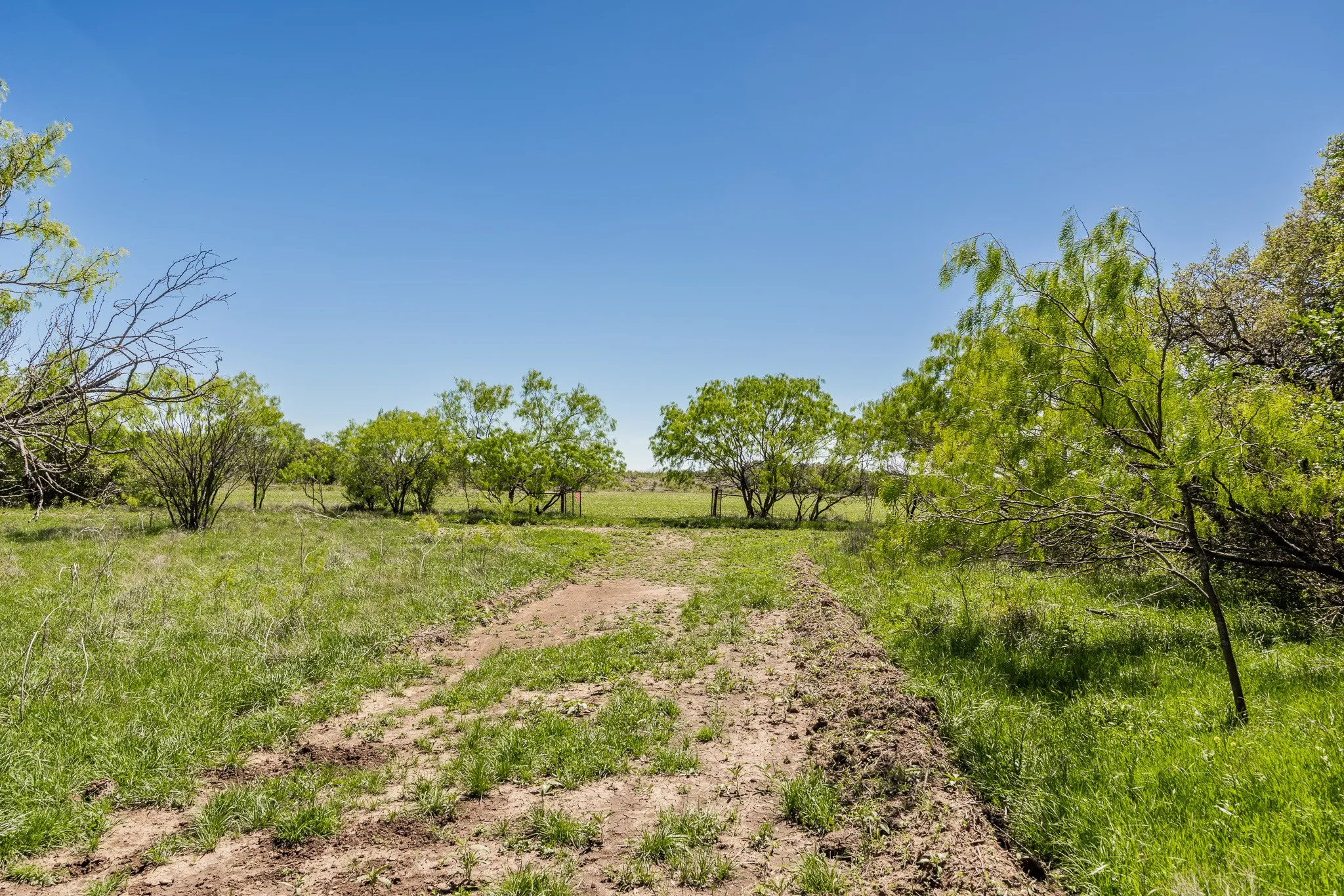 Ranch For Sale in Coleman County , TBD County Road 120, Coleman, Texas 76834, 0, 0, Garage spaces, 0 Sqft, built in 0, mls#21296392, Real Estate Agent in Coleman, Homes For Sale in Coleman county, Homes For Sale in Coleman, Realtor in Coleman Texas, Real Estate Brokerage Independent Realty Texas, Luminita Cordes Realtor