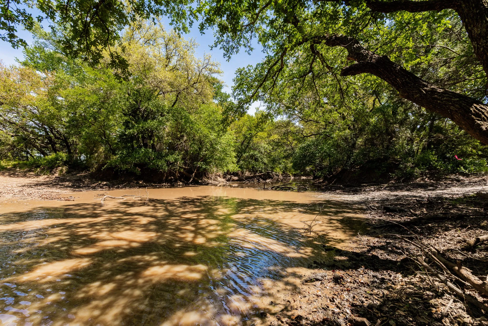 Ranch For Sale in Coleman County , TBD County Road 120, Coleman, Texas 76834, 0, 0, Garage spaces, 0 Sqft, built in 0, mls#21296392, Real Estate Agent in Coleman, Homes For Sale in Coleman county, Homes For Sale in Coleman, Realtor in Coleman Texas, Real Estate Brokerage Independent Realty Texas, Luminita Cordes Realtor