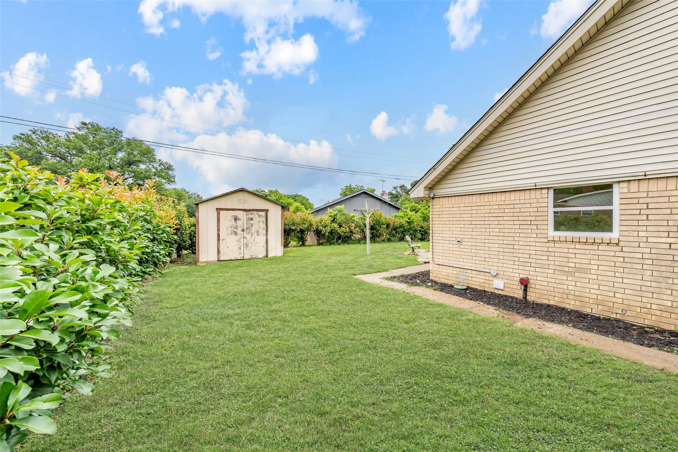 Expansive backyard featuring a lush lawn, mature perimeter shrubbery, and a metal storage shed