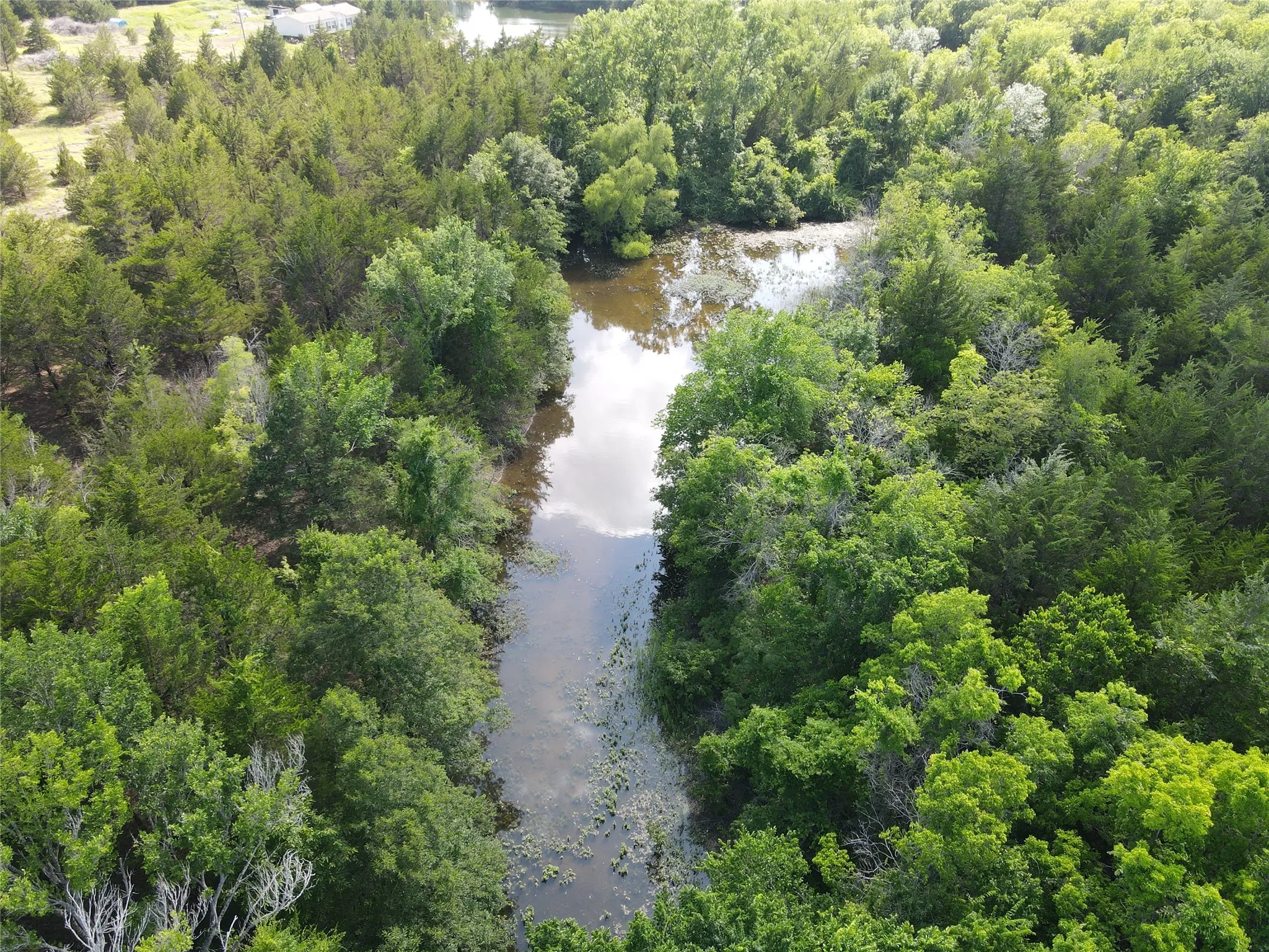 Unimproved Land For Sale in Lamar County , 5909 Farm Road 38 S, Brookston, Texas 75421, 0, 0, Garage spaces, 0 Sqft, built in 2017, Price $170,000, mls#21295235, Real Estate Agent in Brookston, Homes For Sale in Lamar county, Homes For Sale in Brookston, Realtor in Brookston Texas, Real Estate Brokerage Independent Realty Texas, Luminita Cordes Realtor