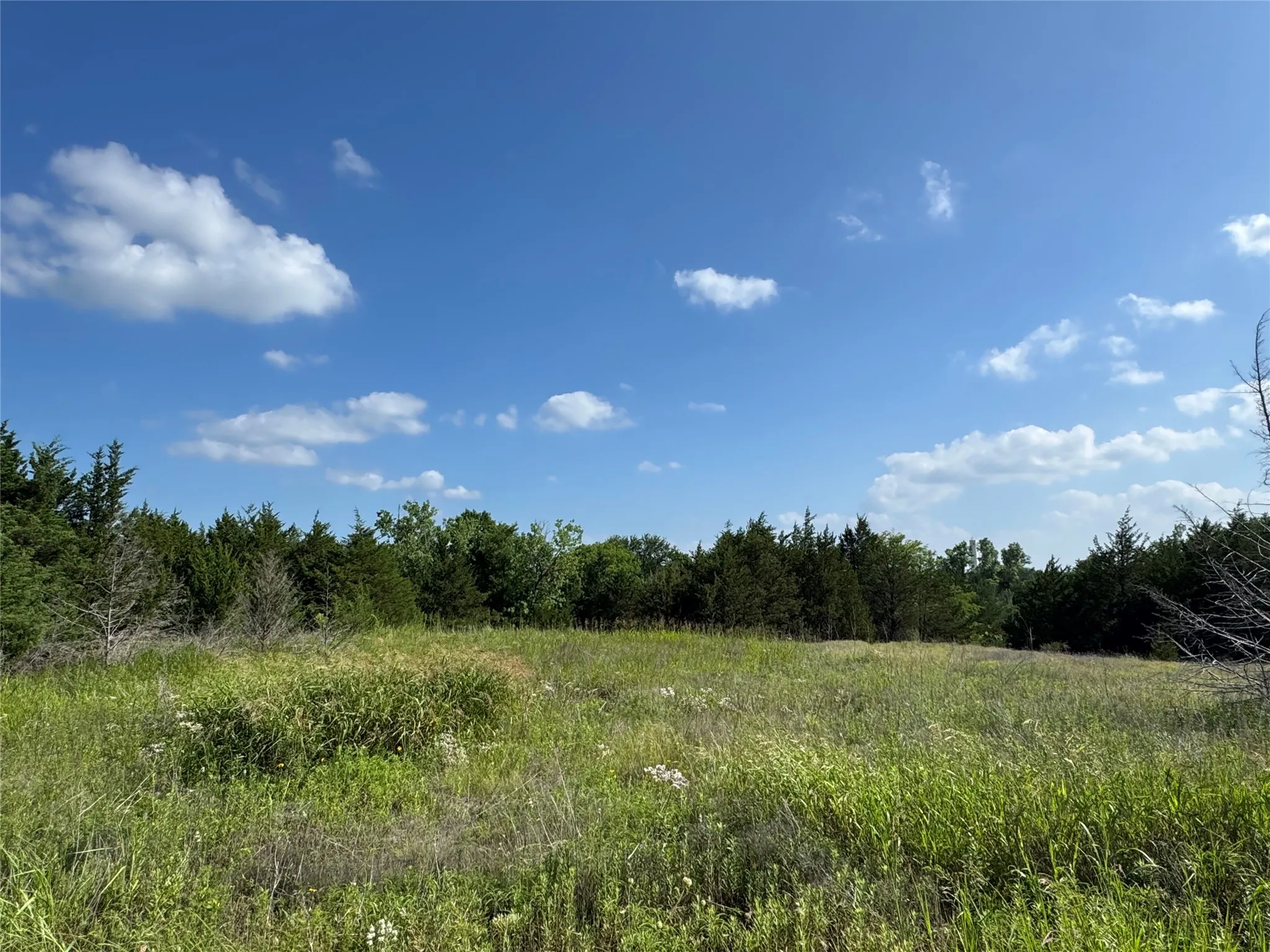 Unimproved Land For Sale in Lamar County , 5909 Farm Road 38 S, Brookston, Texas 75421, 0, 0, Garage spaces, 0 Sqft, built in 2017, Price $170,000, mls#21295235, Real Estate Agent in Brookston, Homes For Sale in Lamar county, Homes For Sale in Brookston, Realtor in Brookston Texas, Real Estate Brokerage Independent Realty Texas, Luminita Cordes Realtor