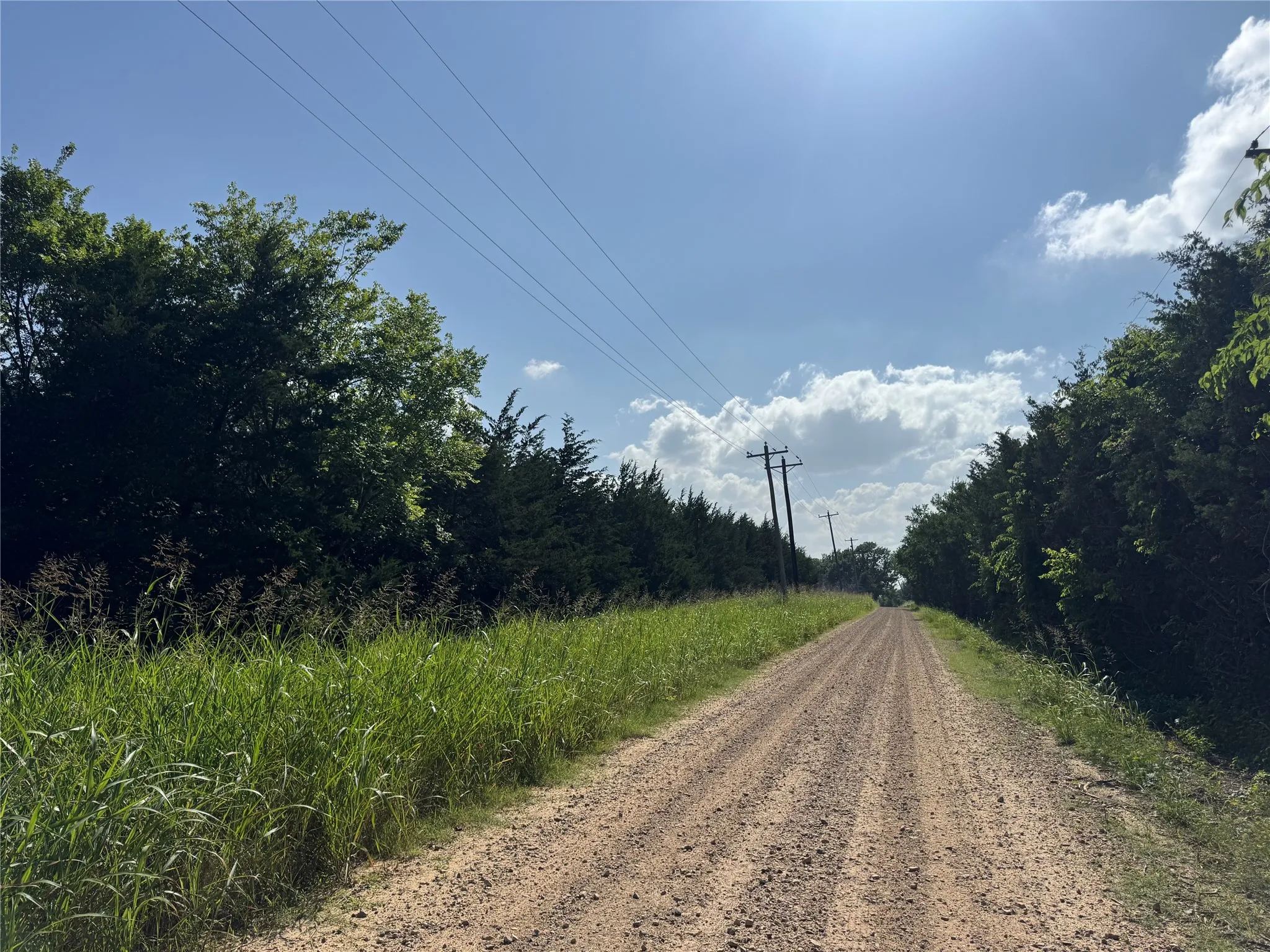 Unimproved Land For Sale in Lamar County , 5909 Farm Road 38 S, Brookston, Texas 75421, 0, 0, Garage spaces, 0 Sqft, built in 2017, Price $170,000, mls#21295235, Real Estate Agent in Brookston, Homes For Sale in Lamar county, Homes For Sale in Brookston, Realtor in Brookston Texas, Real Estate Brokerage Independent Realty Texas, Luminita Cordes Realtor