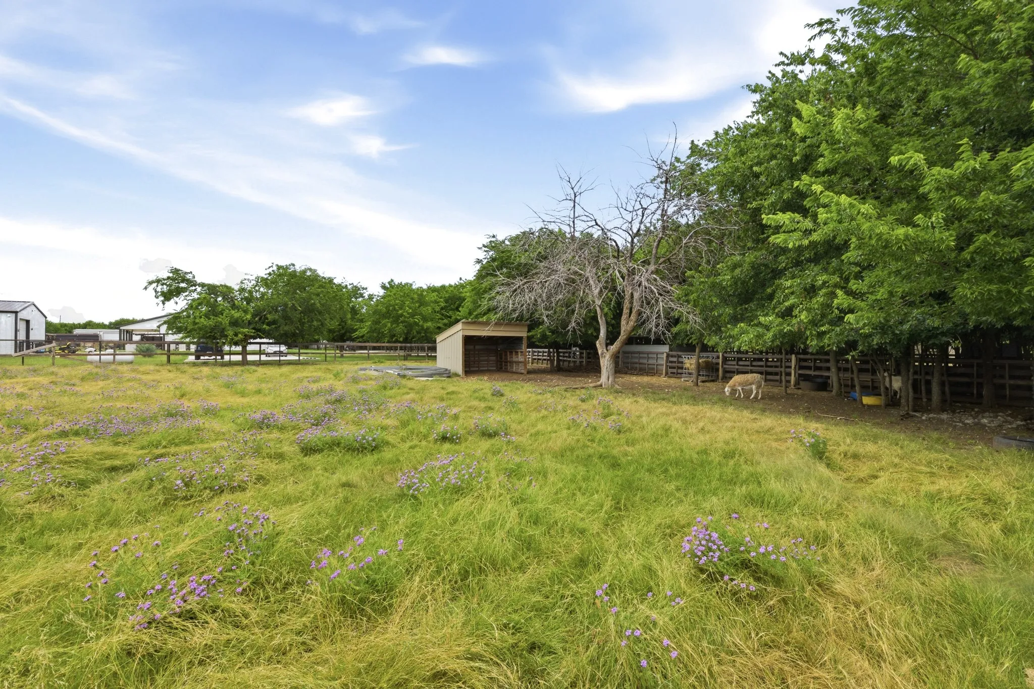 Single Family Residence For Sale in Wise County , 6270 High Mesa Drive, Justin, Texas 76247, 4 Bedroom, 4 Bathroom, 2 Garage spaces, 3,475 Sqft, built in 2017, mls#21295072, Real Estate Agent in Justin, Homes For Sale in Wise county, Homes For Sale in Justin, Realtor in Justin Texas, Real Estate Brokerage Independent Realty Texas, Luminita Cordes Realtor