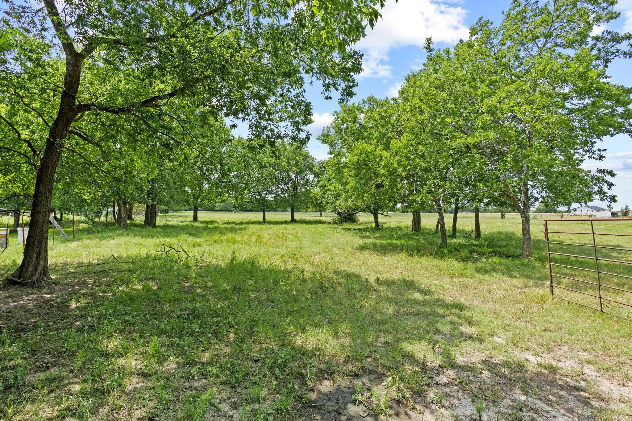 Improved Land For Sale in Hunt County , 0000 County Road 4604, Commerce, Texas 75428, 0, 0, Garage spaces, 0 Sqft, built in 0, mls#21296571, Real Estate Agent in Commerce, Homes For Sale in Hunt county, Homes For Sale in Commerce, Realtor in Commerce Texas, Real Estate Brokerage Independent Realty Texas, Luminita Cordes Realtor