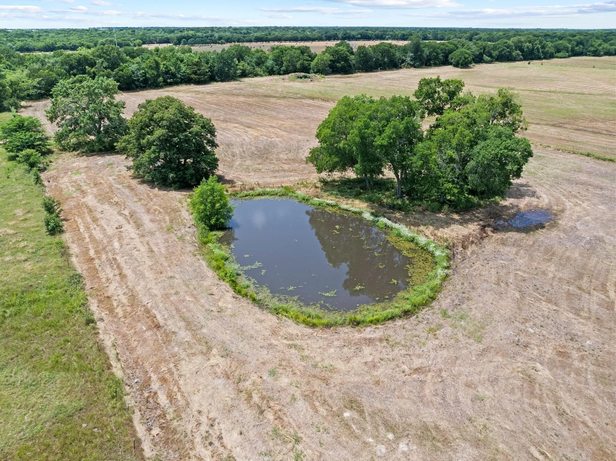Improved Land For Sale in Hunt County , 0000 County Road 4604, Commerce, Texas 75428, 0, 0, Garage spaces, 0 Sqft, built in 0, mls#21296571, Real Estate Agent in Commerce, Homes For Sale in Hunt county, Homes For Sale in Commerce, Realtor in Commerce Texas, Real Estate Brokerage Independent Realty Texas, Luminita Cordes Realtor