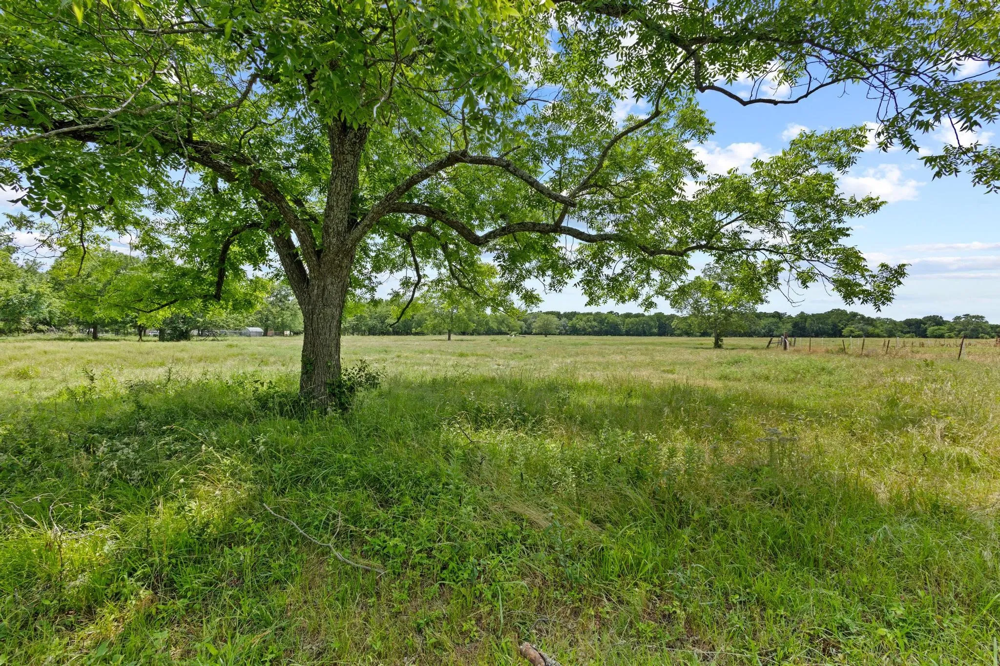 Improved Land For Sale in Hunt County , 0000 County Road 4604, Commerce, Texas 75428, 0, 0, Garage spaces, 0 Sqft, built in 0, mls#21296571, Real Estate Agent in Commerce, Homes For Sale in Hunt county, Homes For Sale in Commerce, Realtor in Commerce Texas, Real Estate Brokerage Independent Realty Texas, Luminita Cordes Realtor