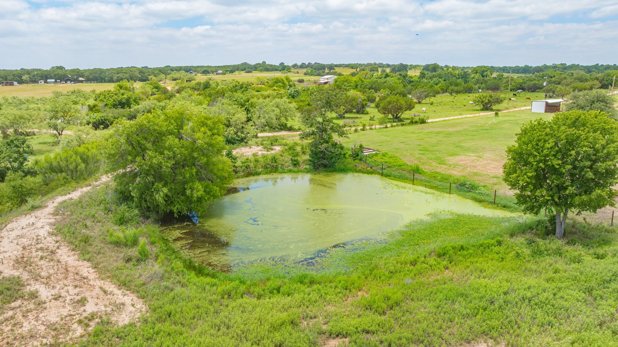 Mobile Home For Sale in Erath County , 4850 County Road 179, Stephenville, Texas 76401, 3 Bedroom, 2 Bathroom, Garage spaces, 1,680 Sqft, built in 1979, mls#21296406, Real Estate Agent in Stephenville, Homes For Sale in Erath county, Homes For Sale in Stephenville, Realtor in Stephenville Texas, Real Estate Brokerage Independent Realty Texas, Luminita Cordes Realtor