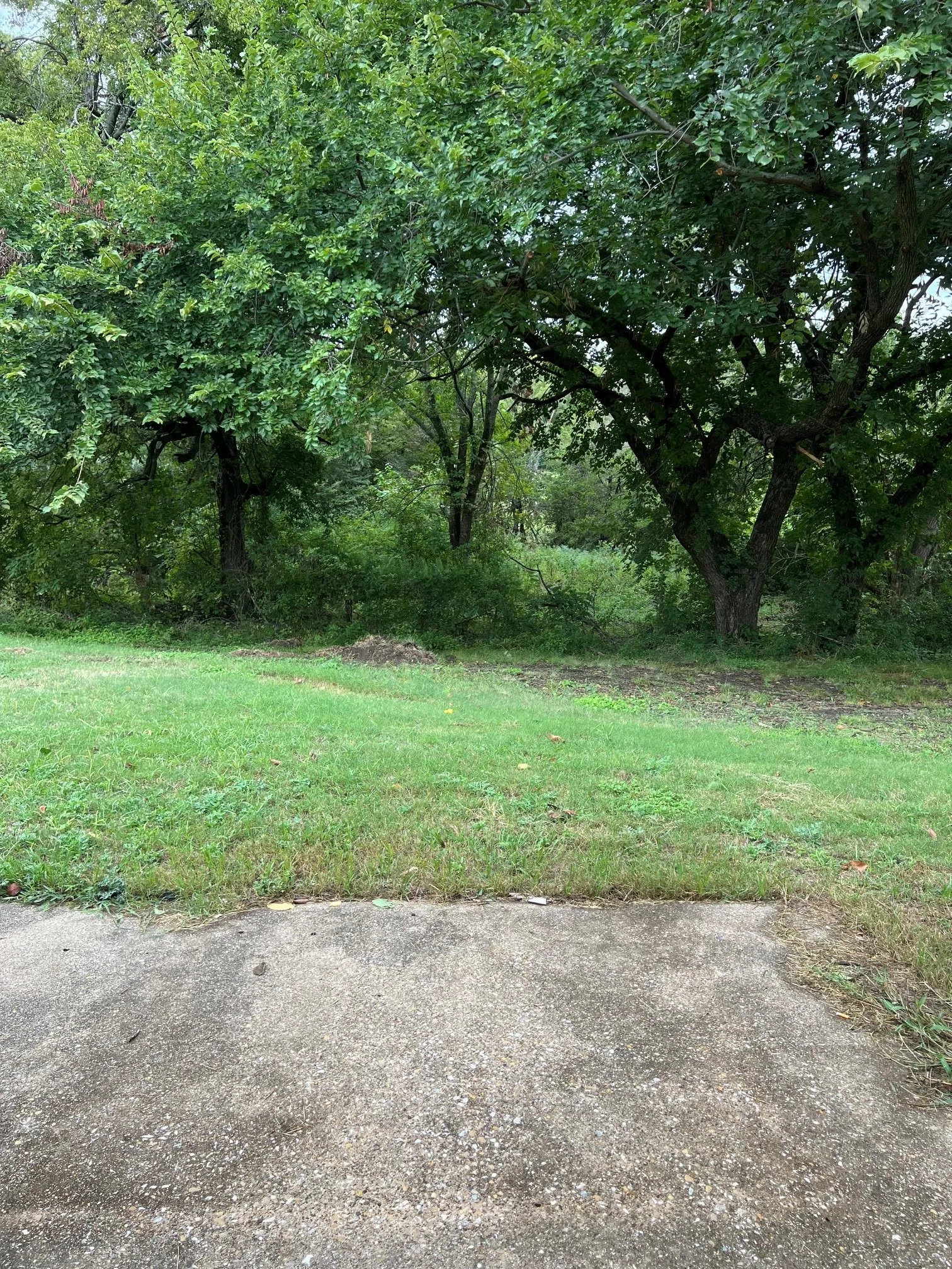 Single Family Residence For Rent in Rockwall County , 404 Renfro Street, Rockwall, Texas 75087, 3 Bedroom, 2 Bathroom, 1 Garage spaces, 1,156 Sqft, built in 1983, mls#21291519, Real Estate Agent in Rockwall, Homes For Rent in Rockwall county, Homes For Rent in Rockwall, Realtor in Rockwall Texas, Real Estate Brokerage Independent Realty Texas, Luminita Cordes Realtor