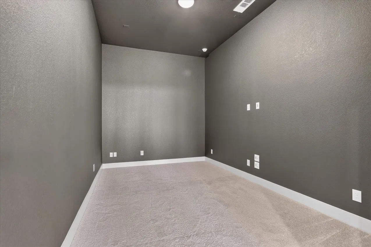 Entertainment Room