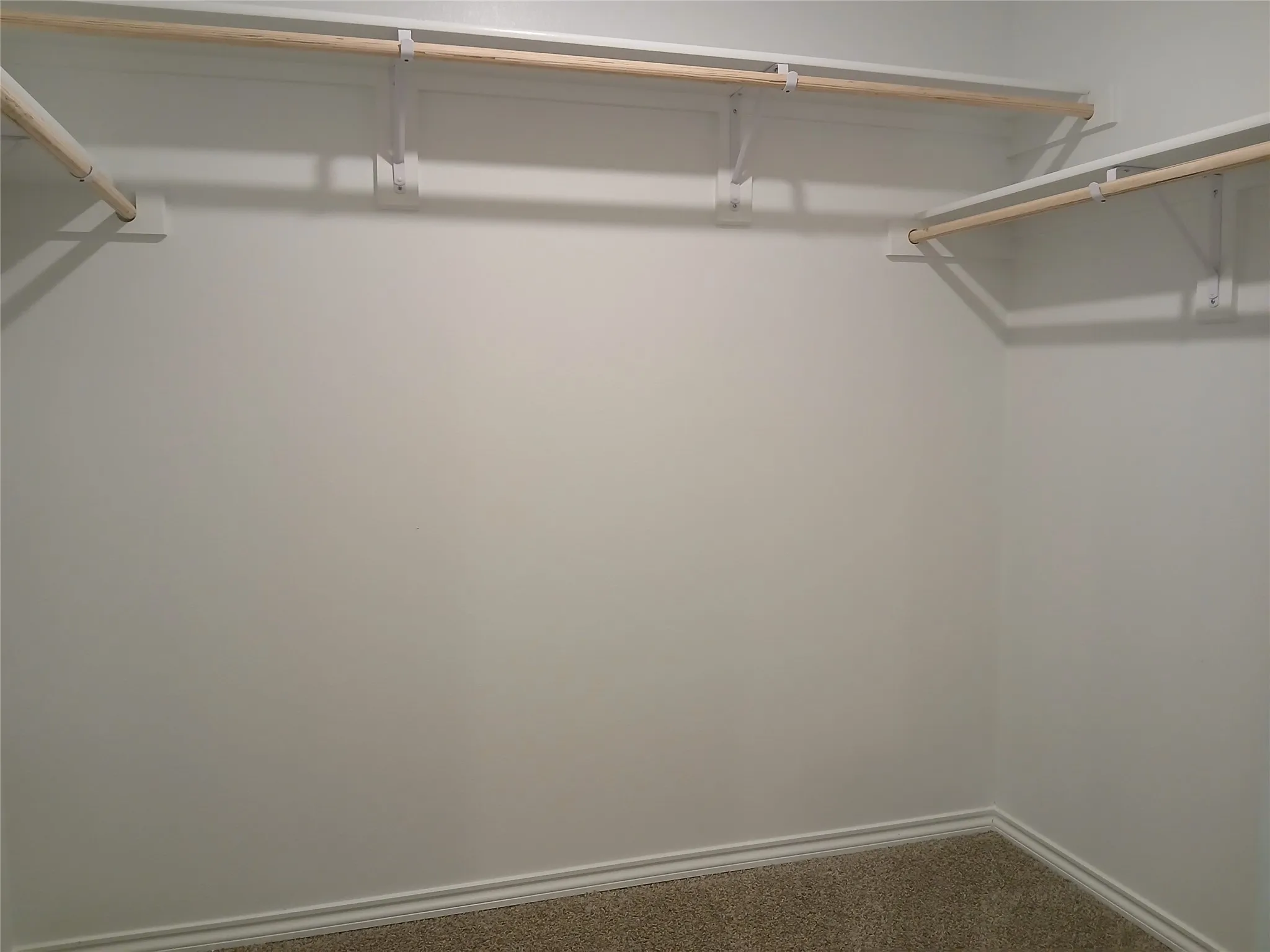 Walk-in closet with light neutral wall paint, white shelving, natural wood finish hanging rods, and light brown carpet flooring
