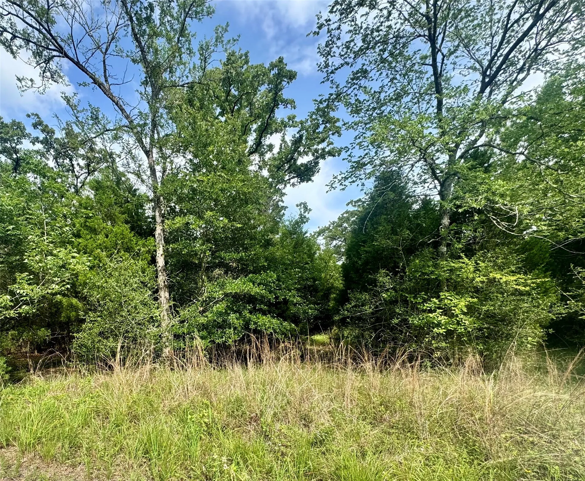 Unimproved Land For Sale in Henderson County , lot 2111 Butch Cassidy Drive, Log Cabin, Texas 75148, 0, 0, Garage spaces, 0 Sqft, built in 0, mls#21295959, Real Estate Agent in Log Cabin, Homes For Sale in Henderson county, Homes For Sale in Log Cabin, Realtor in Log Cabin Texas, Real Estate Brokerage Independent Realty Texas, Luminita Cordes Realtor