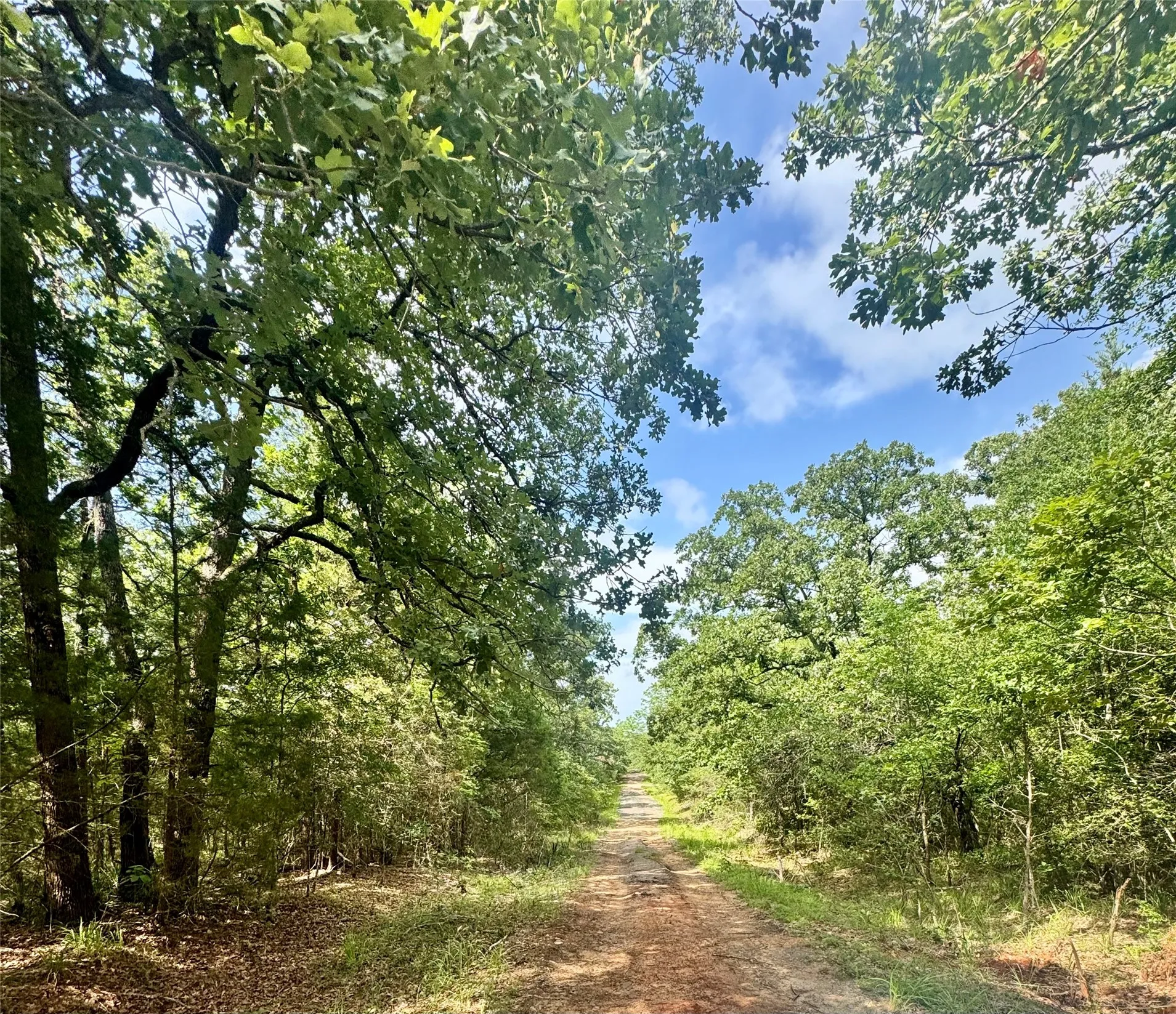Road