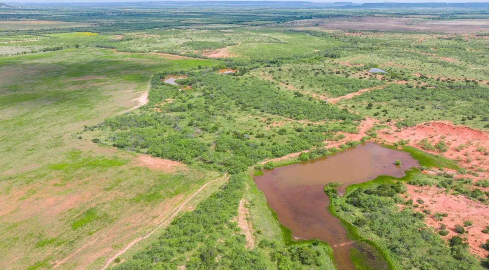 Unimproved Land For Sale in Taylor County , TBD Lot 1 CR 205, Ovalo, Texas 79541, 0, 0, Garage spaces, 0 Sqft, built in 0, Price $165,000, mls#21296575, Real Estate Agent in Ovalo, Homes For Sale in Taylor county, Homes For Sale in Ovalo, Realtor in Ovalo Texas, Real Estate Brokerage Independent Realty Texas, Luminita Cordes Realtor