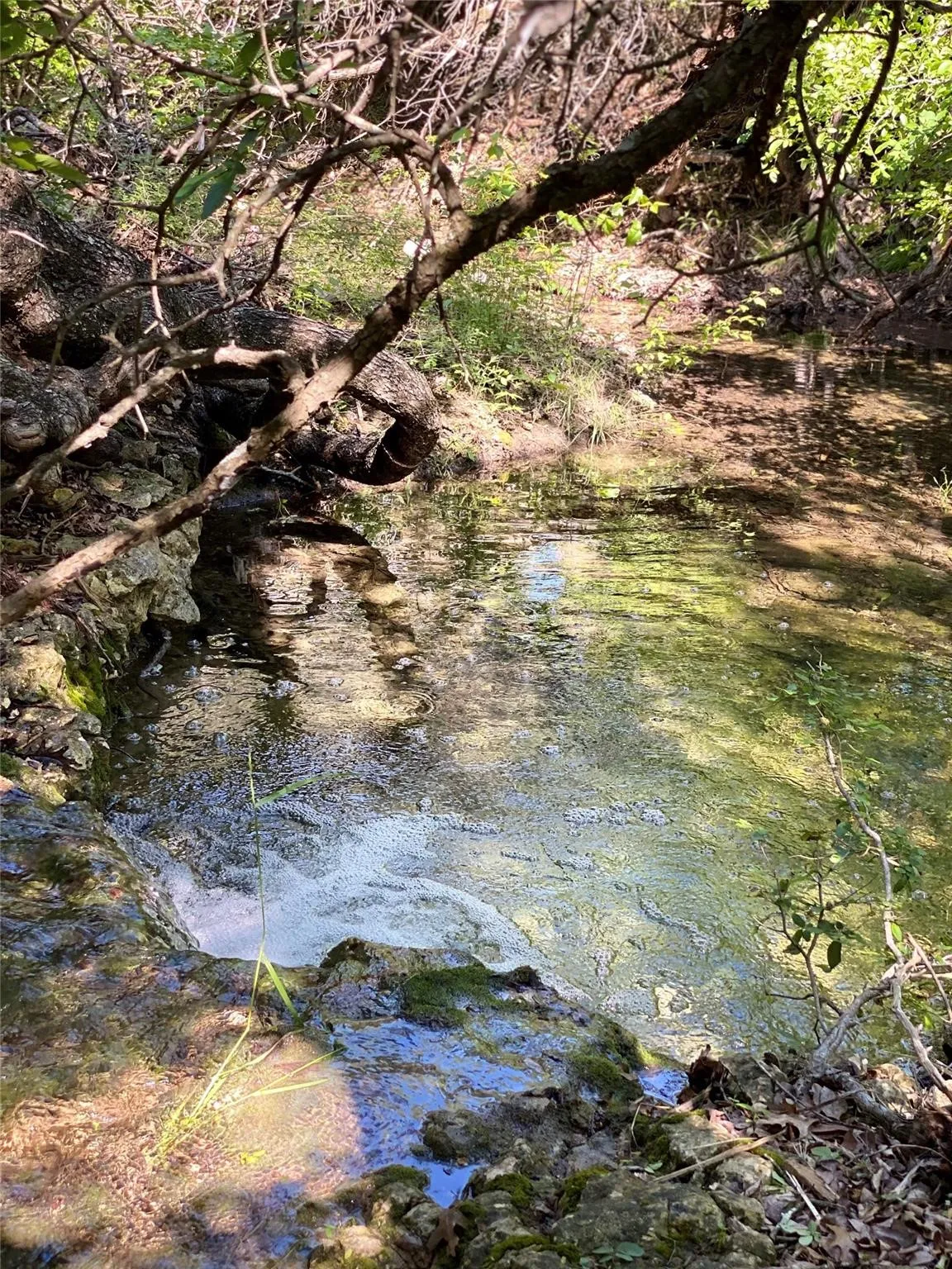 Unimproved Land For Sale in Johnson County , 8419 Hollandbush Court, Cleburne, Texas 76033, 0, 0, Garage spaces, 0 Sqft, built in 0, Price $18,000, mls#21295688, Real Estate Agent in Cleburne, Homes For Sale in Johnson county, Homes For Sale in Cleburne, Realtor in Cleburne Texas, Real Estate Brokerage Independent Realty Texas, Luminita Cordes Realtor