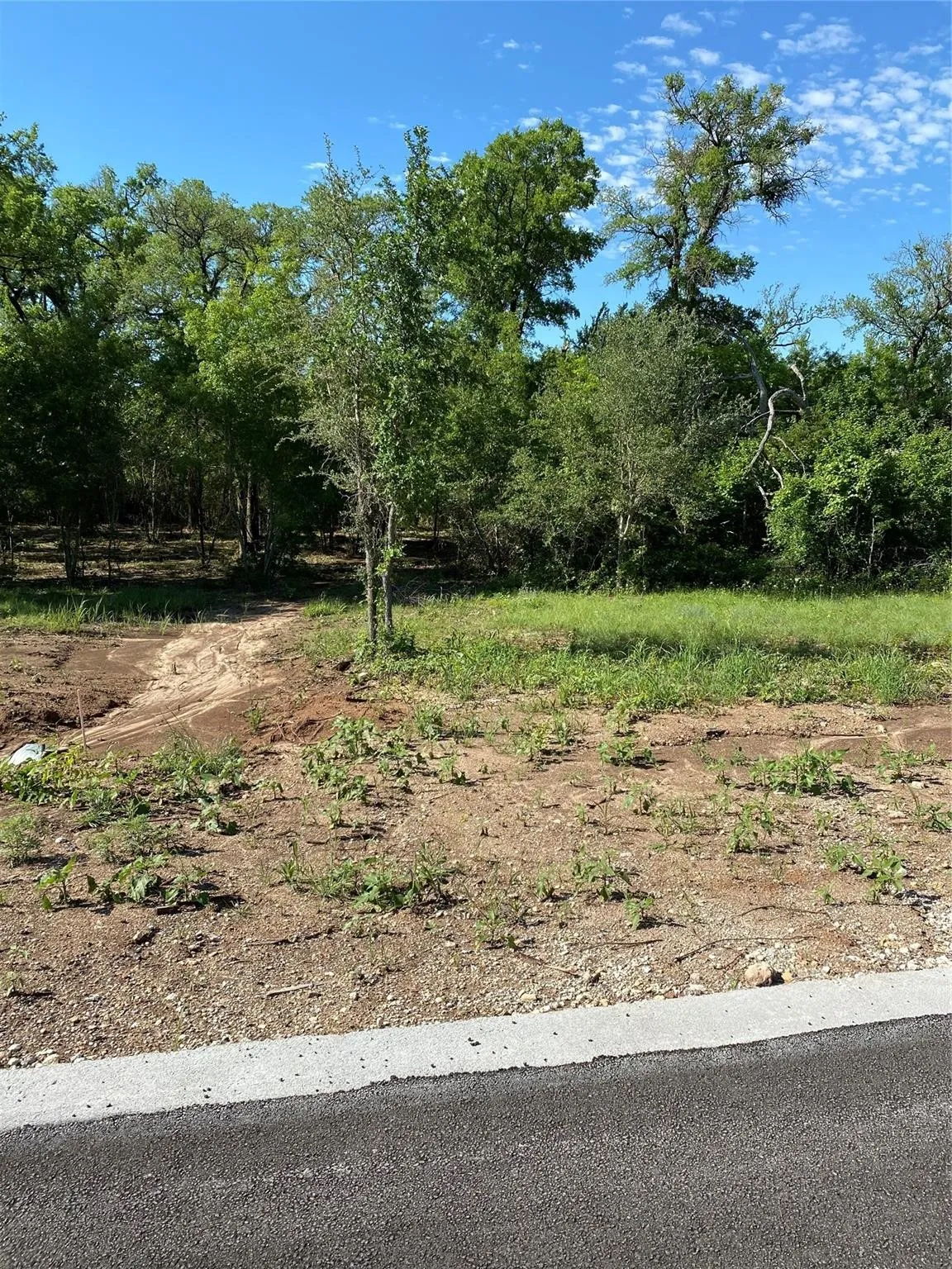 Unimproved Land For Sale in Johnson County , 8419 Hollandbush Court, Cleburne, Texas 76033, 0, 0, Garage spaces, 0 Sqft, built in 0, Price $18,000, mls#21295688, Real Estate Agent in Cleburne, Homes For Sale in Johnson county, Homes For Sale in Cleburne, Realtor in Cleburne Texas, Real Estate Brokerage Independent Realty Texas, Luminita Cordes Realtor