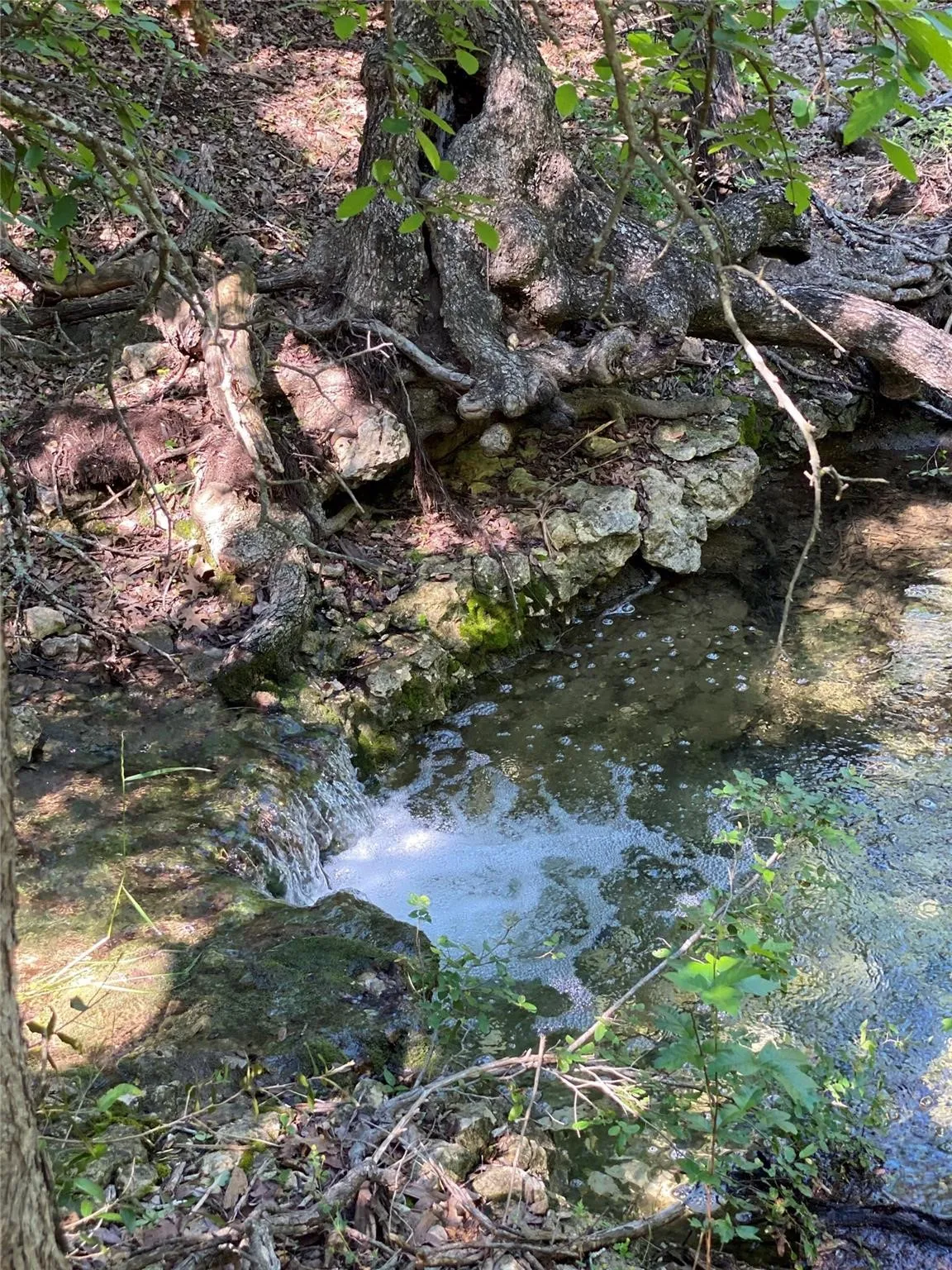 Unimproved Land For Sale in Johnson County , 8423 Hollandbush Court, Cleburne, Texas 76033, 0, 0, Garage spaces, 0 Sqft, built in 0, Price $18,000, mls#21295706, Real Estate Agent in Cleburne, Homes For Sale in Johnson county, Homes For Sale in Cleburne, Realtor in Cleburne Texas, Real Estate Brokerage Independent Realty Texas, Luminita Cordes Realtor