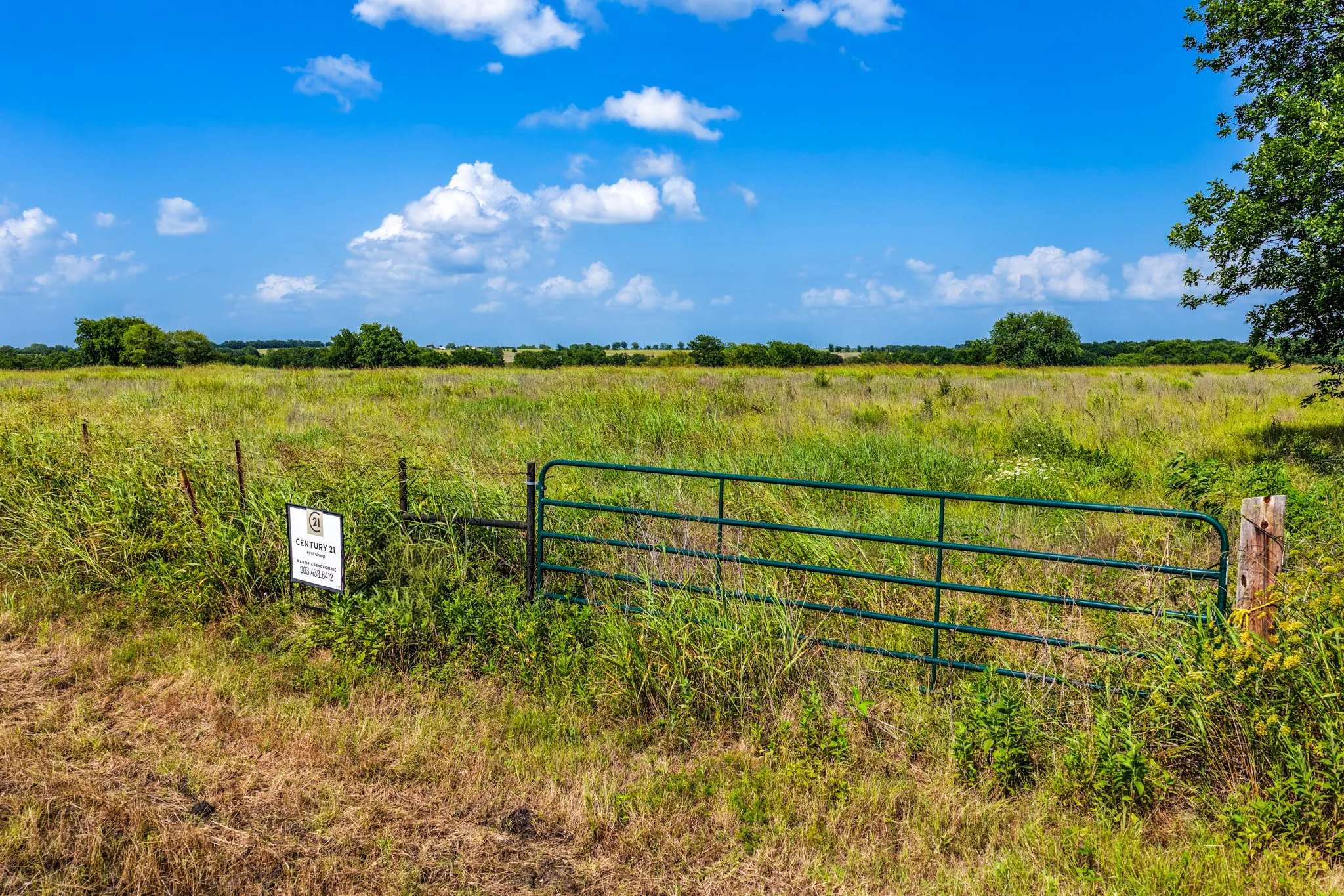Unimproved Land For Sale in Delta County , Lot 67 Fm 904, Pecan Gap, Texas 75469, 0, 0, Garage spaces, 0 Sqft, built in 0, Price $42,500, mls#21296977, Real Estate Agent in Pecan Gap, Homes For Sale in Delta county, Homes For Sale in Pecan Gap, Realtor in Pecan Gap Texas, Real Estate Brokerage Independent Realty Texas, Luminita Cordes Realtor