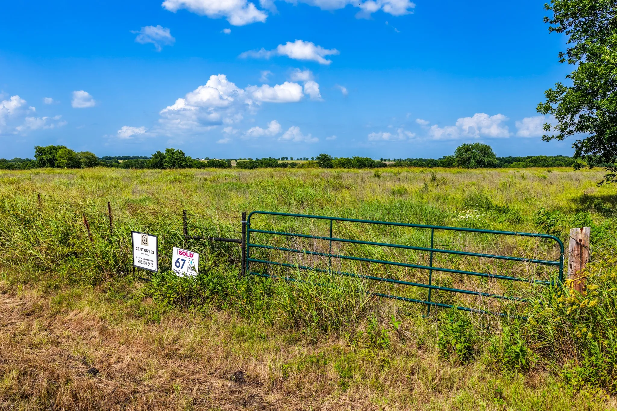 Unimproved Land For Sale in Delta County , Lot 67 Fm 904, Pecan Gap, Texas 75469, 0, 0, Garage spaces, 0 Sqft, built in 0, Price $42,500, mls#21296977, Real Estate Agent in Pecan Gap, Homes For Sale in Delta county, Homes For Sale in Pecan Gap, Realtor in Pecan Gap Texas, Real Estate Brokerage Independent Realty Texas, Luminita Cordes Realtor