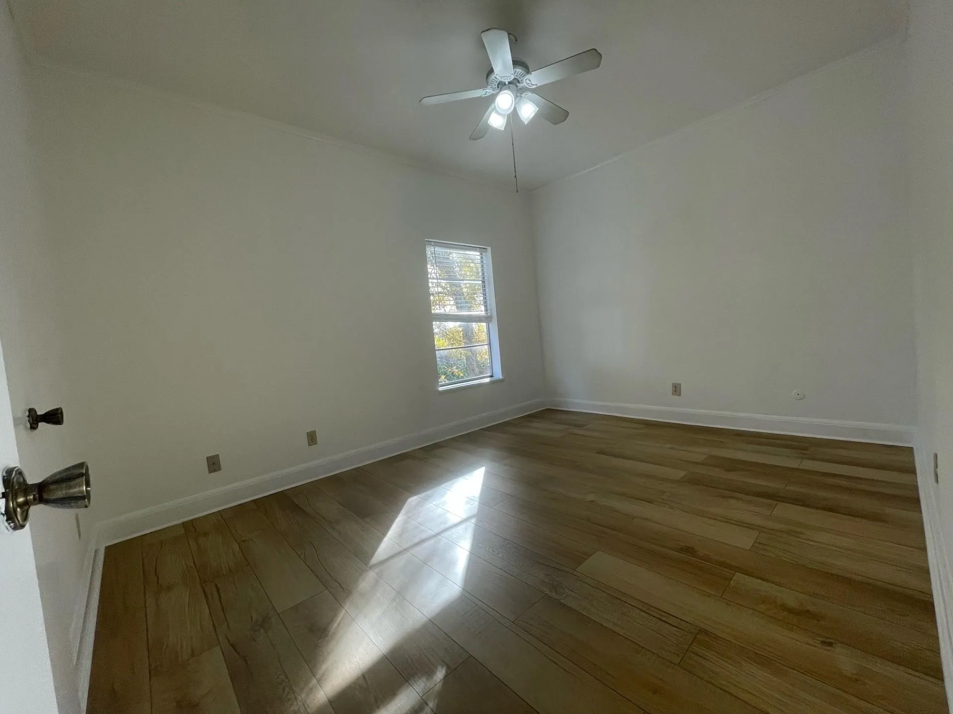 Room with wood-finish flooring, white baseboards, and neutral wall paint