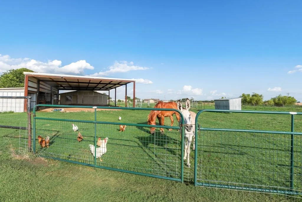 pasture and barn view
