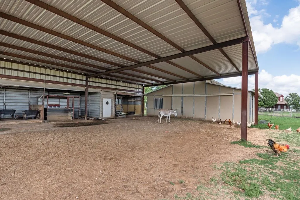 Cover horse training area