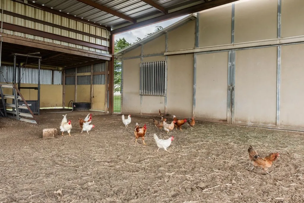 Animal, feed, storage area in barn