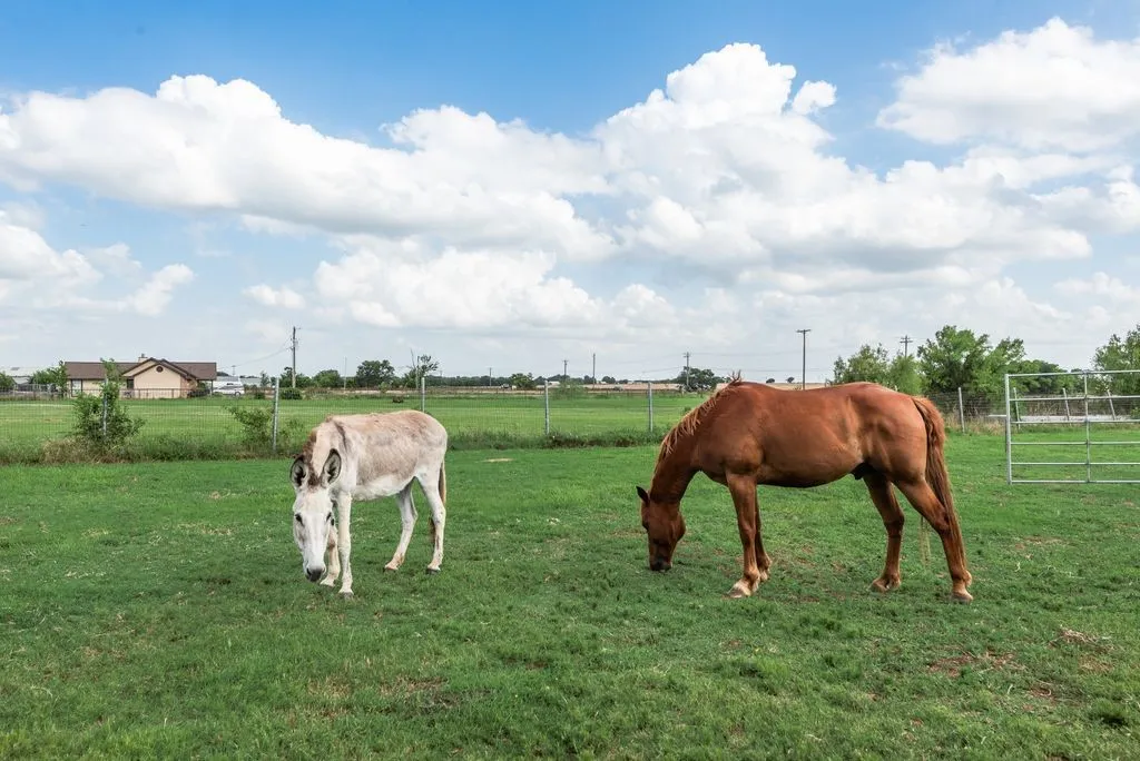 Single Family Residence For Sale in Rockwall County , 8549 S Fm 548, Royse City, Texas 75189, 4 Bedroom, 3 Bathroom, 2 Garage spaces, 2,494 Sqft, built in 1990, mls#21297090, Real Estate Agent in Royse City, Homes For Sale in Rockwall county, Homes For Sale in Royse City, Realtor in Royse City Texas, Real Estate Brokerage Independent Realty Texas, Luminita Cordes Realtor