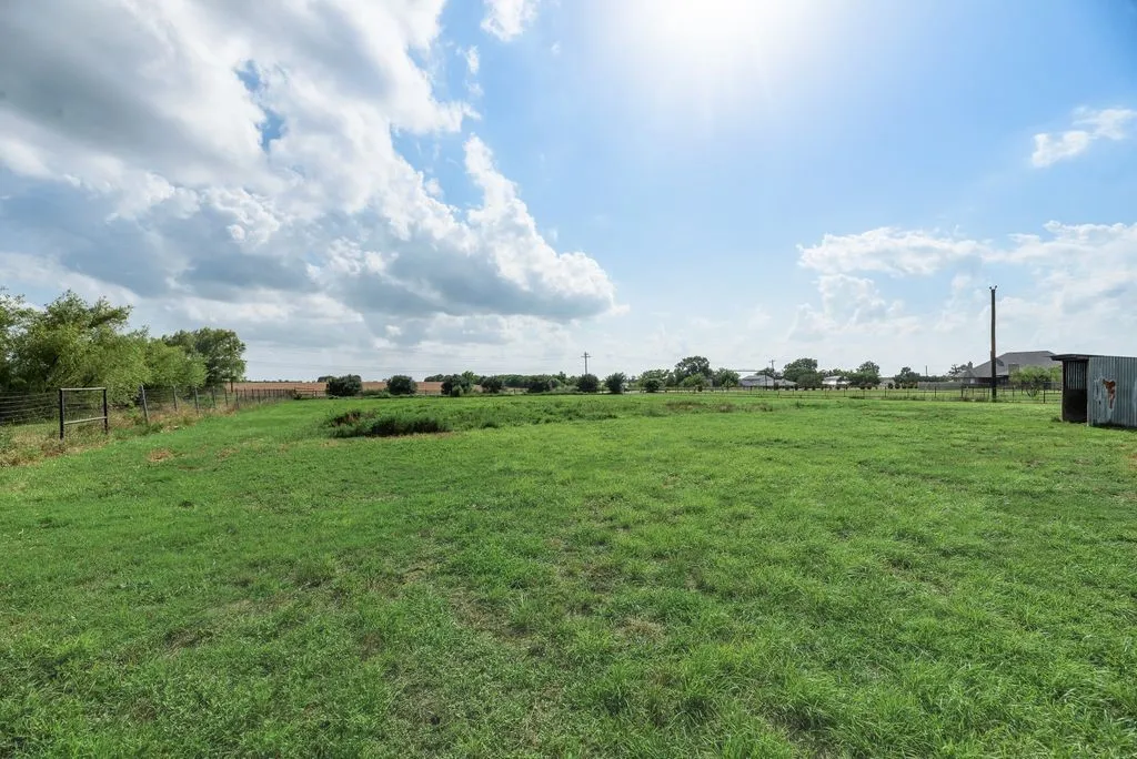 Pasture view