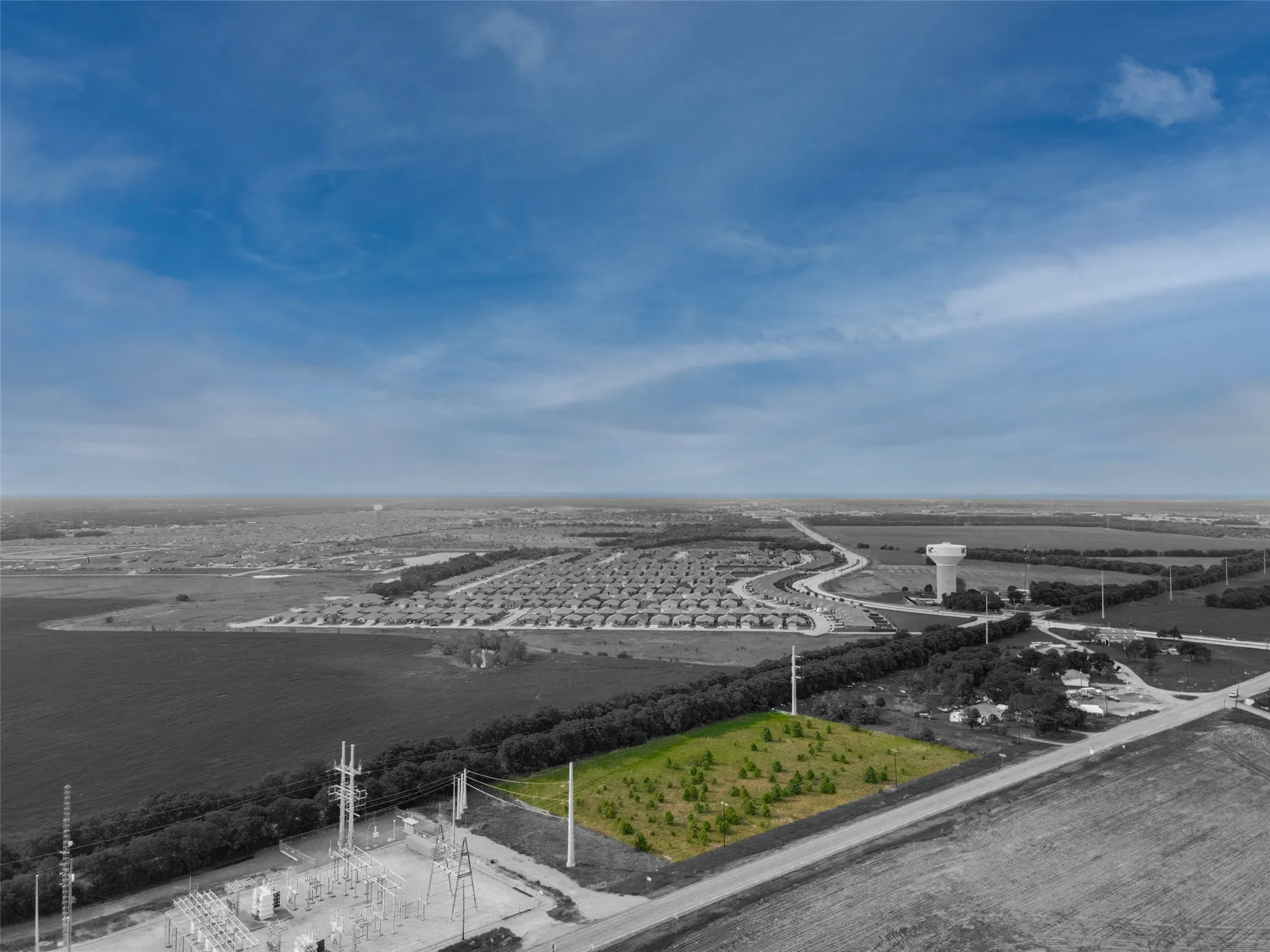 Expansive land parcel featuring existing vegetation and direct road frontage