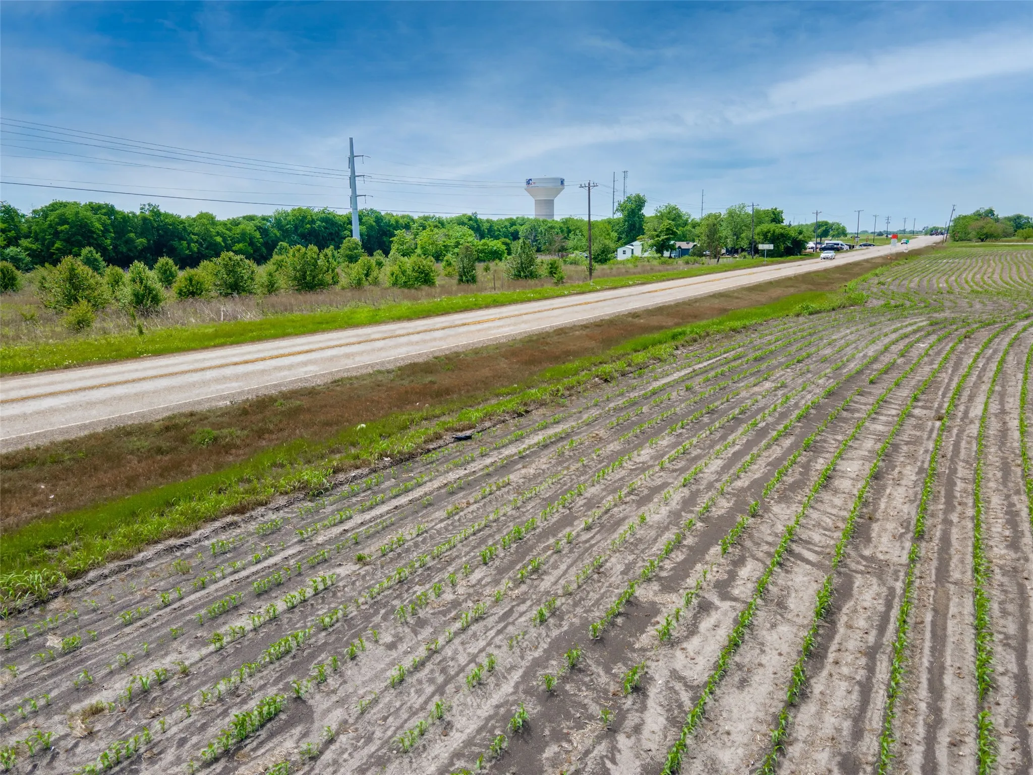 Expansive agricultural field with rows of young crops, bordered by a gravel road and green landscaping