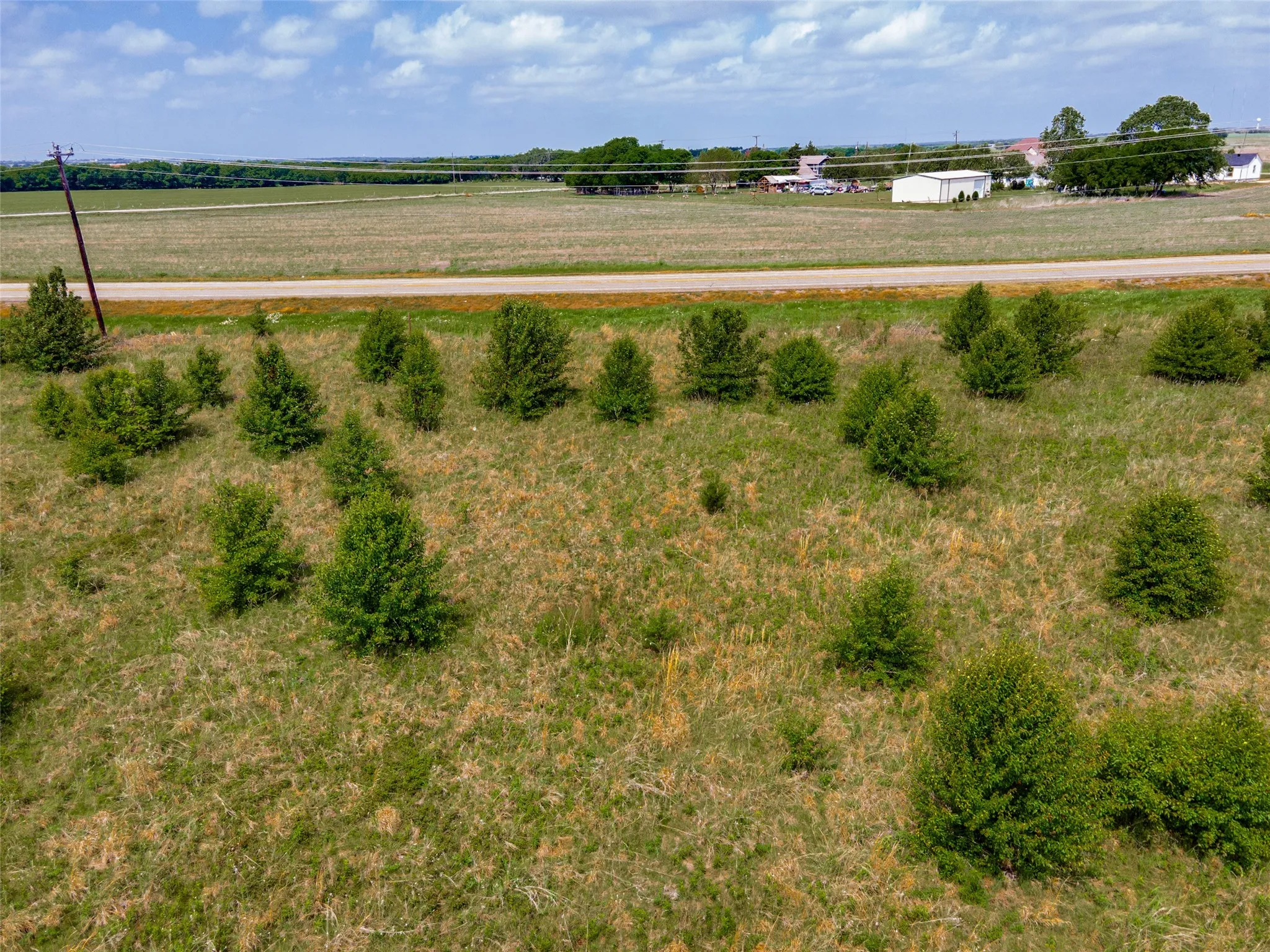 Expansive land parcel featuring numerous small trees and natural grasses