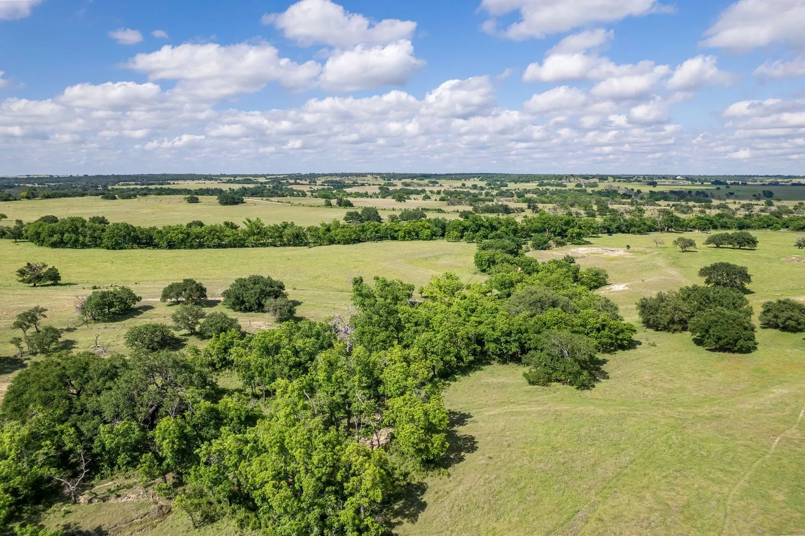Expansive green pastures featuring scattered mature trees and dense tree lines